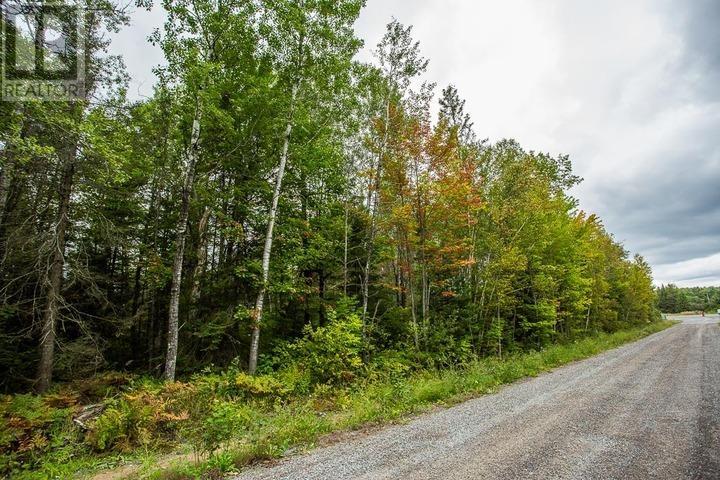 Trunk Road At Highway 17 East, Huron Shores Township, Thessalon, Ontario  P0R 1L0 - Photo 23 - SM260544