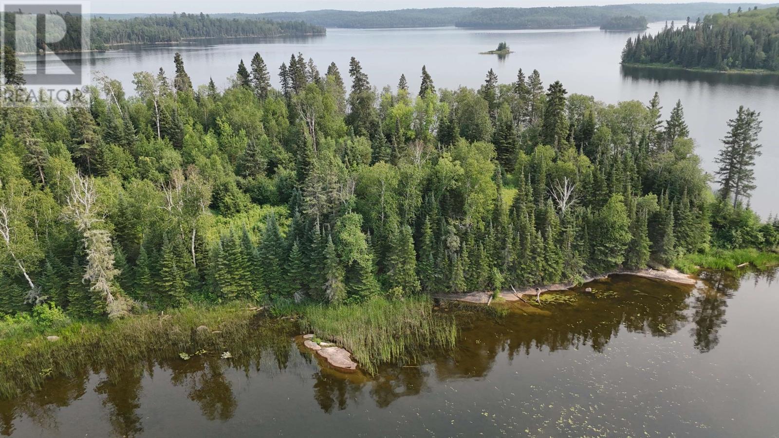 Pt Lot 8 Black Sturgeon Lake, Long Tent Bay Black Sturgeon Lake, Kenora, Ontario  P9N 3W7 - Photo 20 - TB2602135