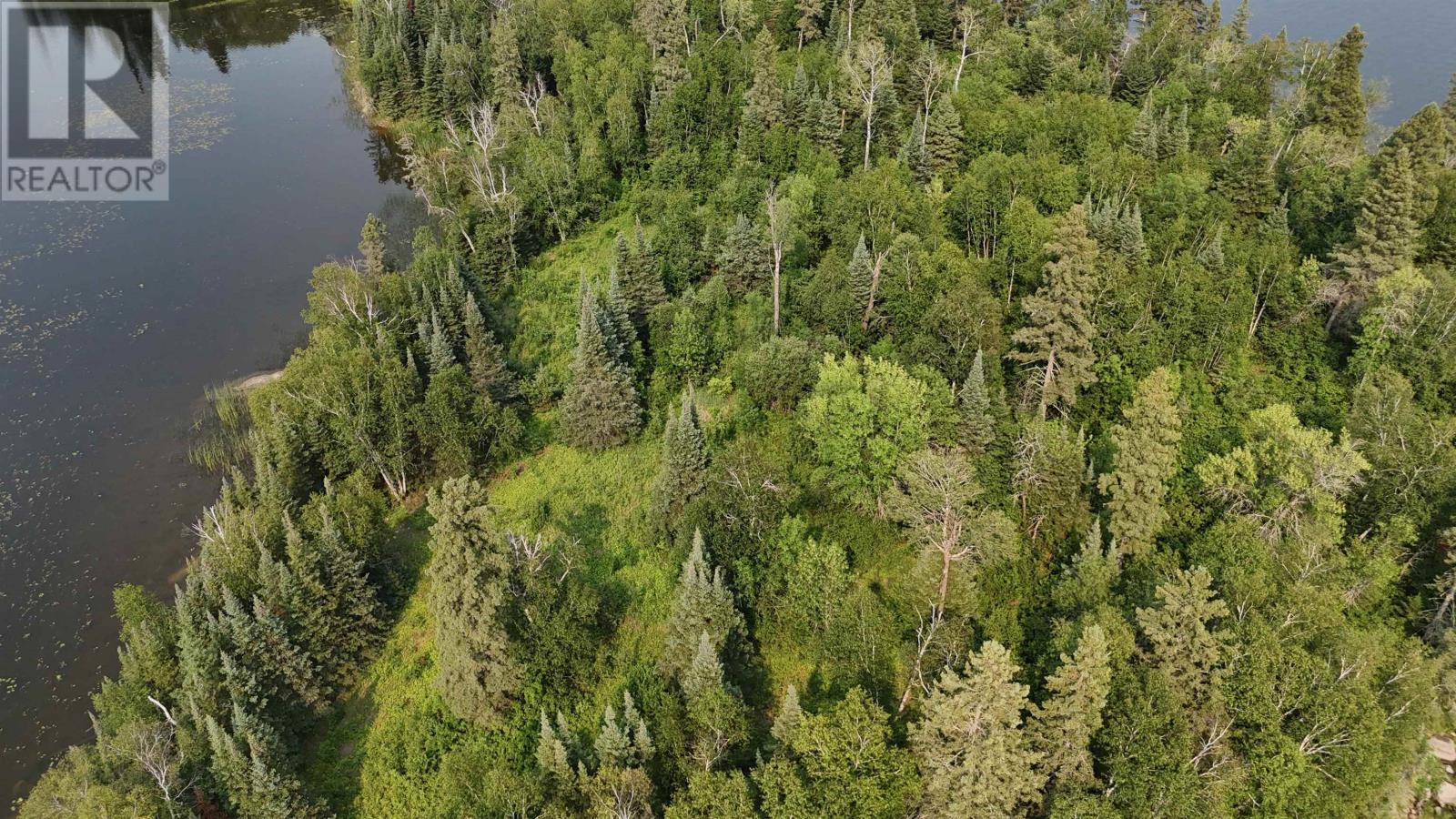 Pt Lot 8 Black Sturgeon Lake, Long Tent Bay Black Sturgeon Lake, Kenora, Ontario  P9N 3W7 - Photo 18 - TB2602135