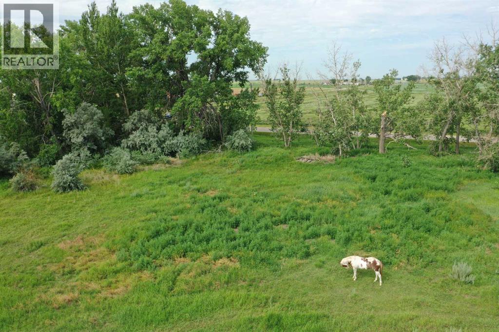 94007 Rge Rd 164, Rural Taber, Alberta  T1G 2C6 - Photo 5 - A2329518