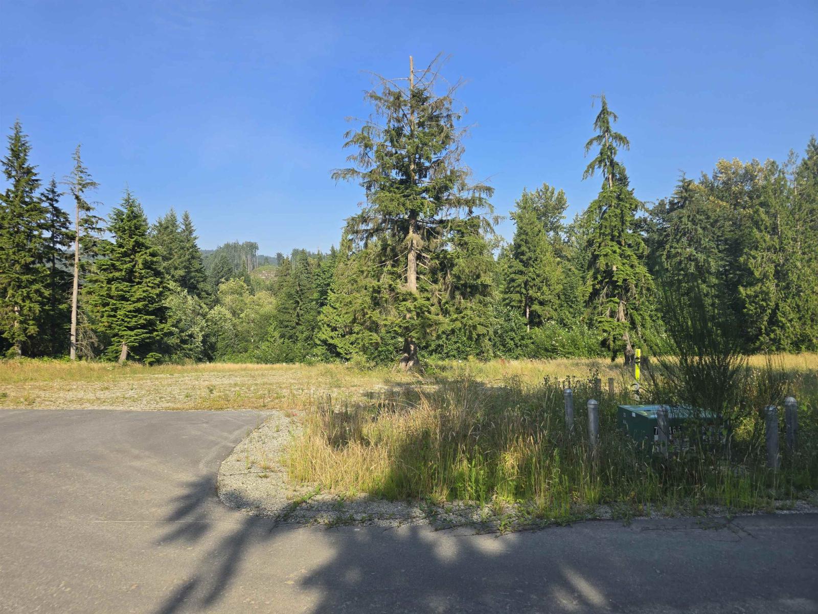 Lt.9 32201 Richards Avenue, Mission, British Columbia  V4S 1K8 - Photo 10 - R3093260