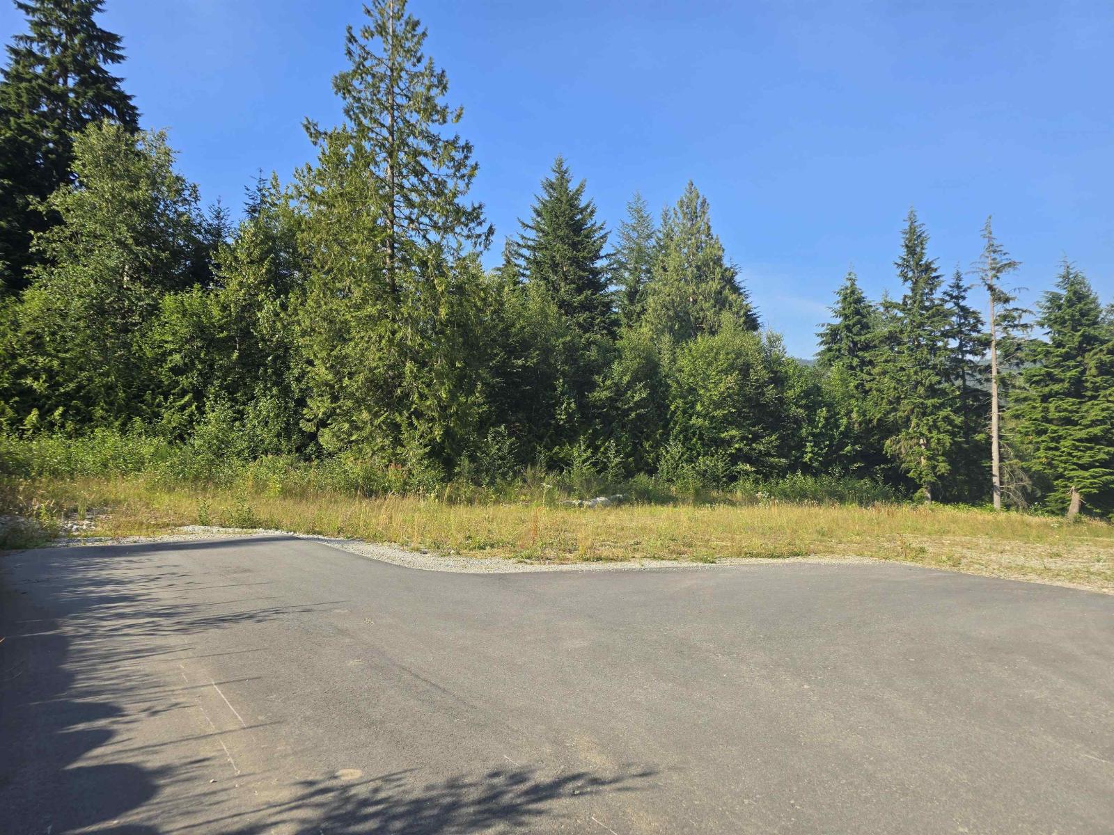 Lt.9 32201 Richards Avenue, Mission, British Columbia  V4S 1K8 - Photo 11 - R3093260