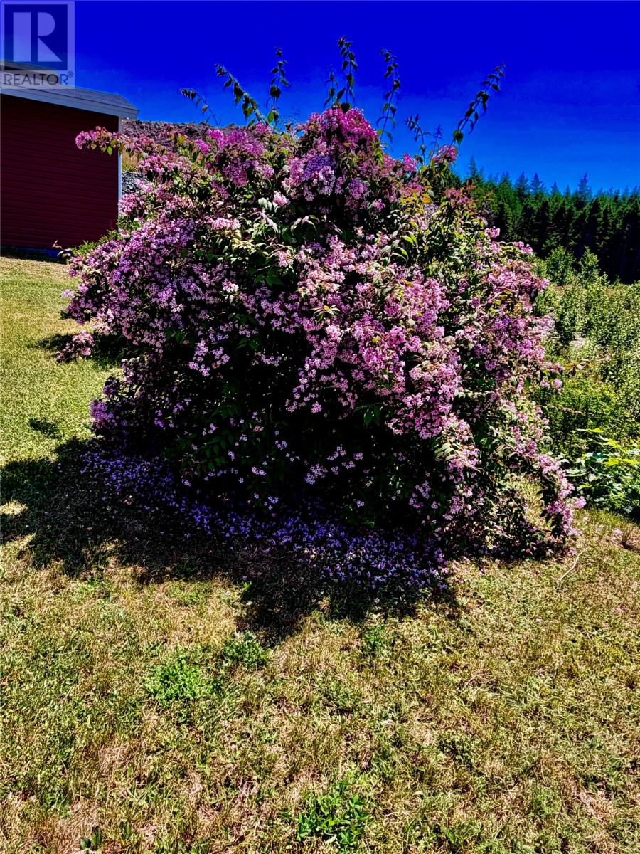 Photo 38