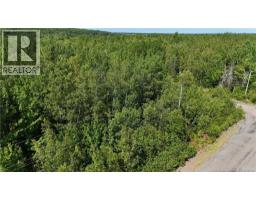 36 Lucas Street, Irishtown, New Brunswick