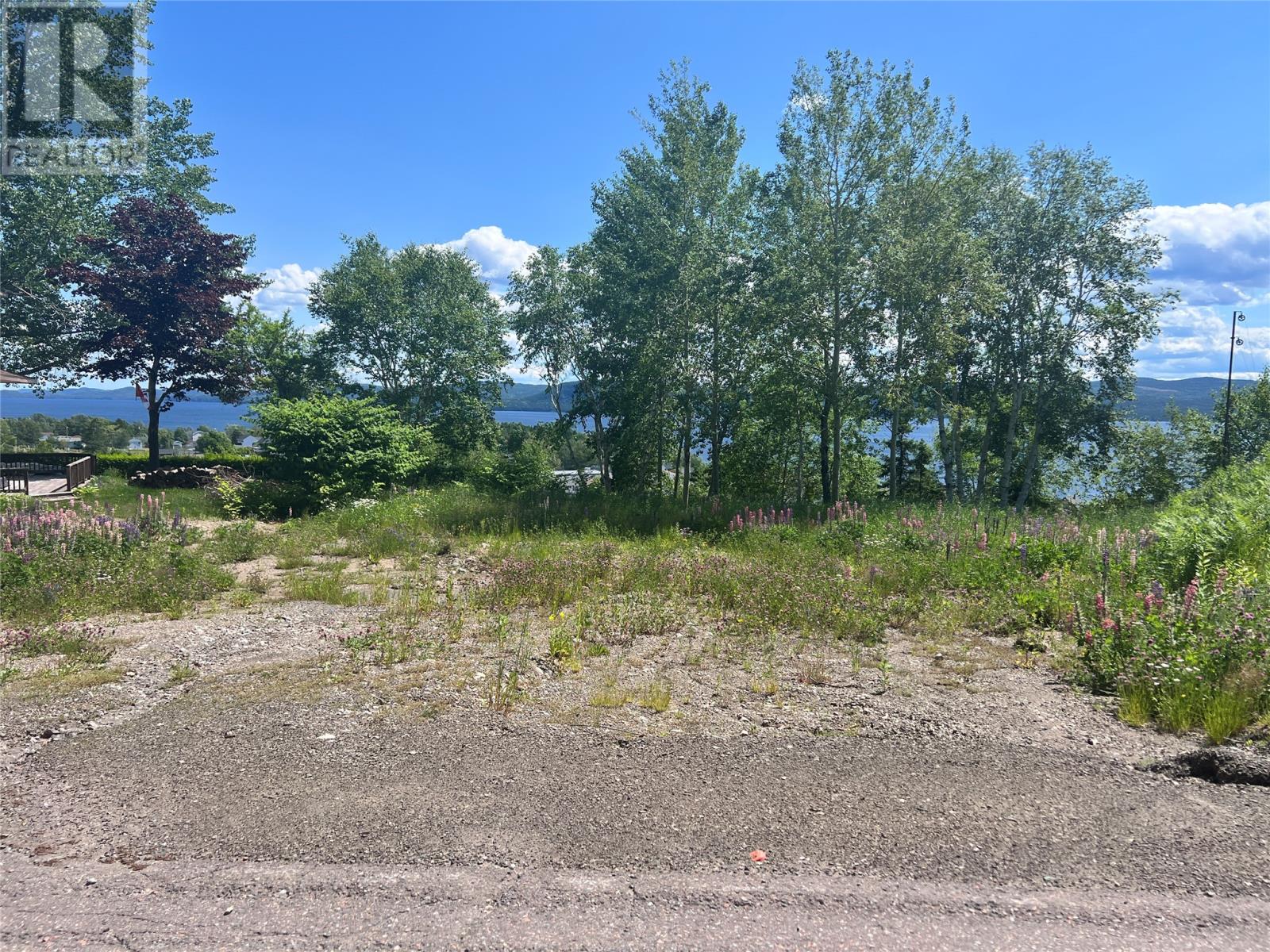 36 Maple Street, Springdale, Newfoundland & Labrador  A0J 1T0 - Photo 3 - 1293178