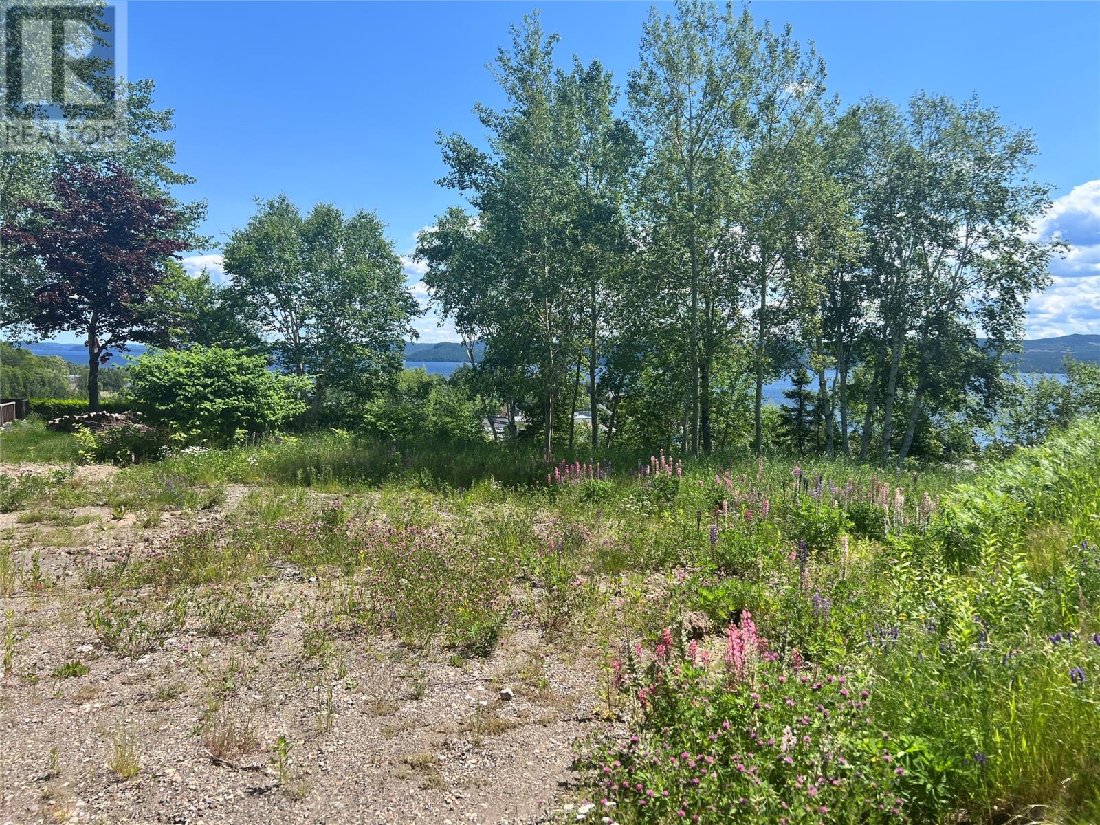 36 Maple Street, Springdale, Newfoundland & Labrador  A0J 1T0 - Photo 2 - 1293178