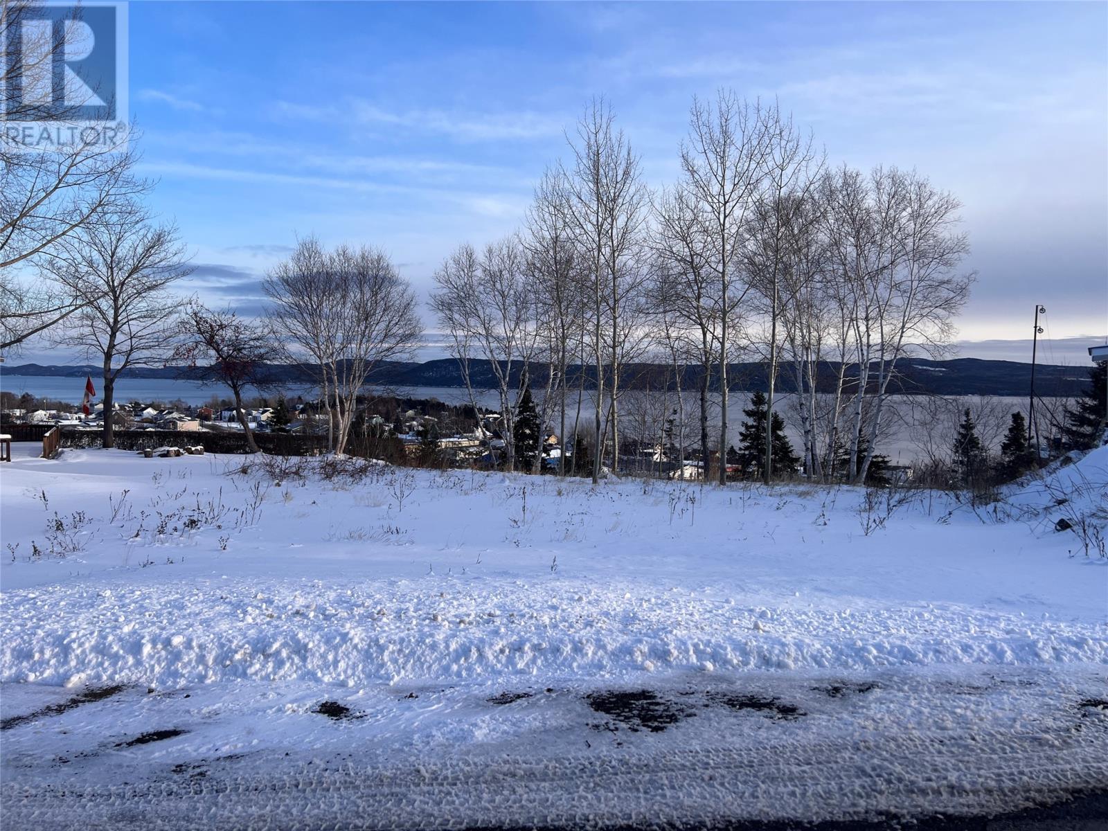 36 Maple Street, Springdale, Newfoundland & Labrador  A0J 1T0 - Photo 5 - 1293178