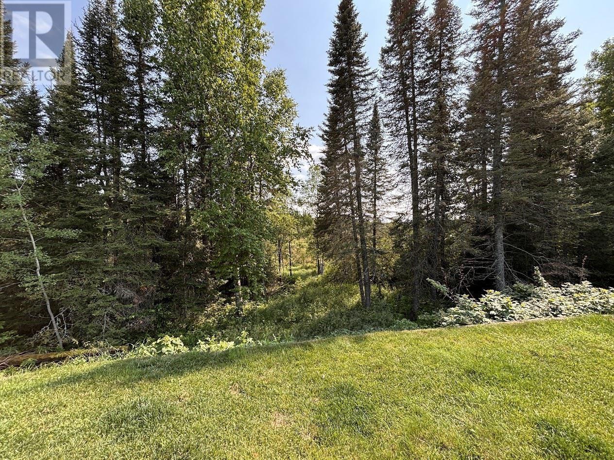 48 Redwing Ave, Manitouwadge, Ontario  P0T 2C0 - Photo 34 - TB2600650
