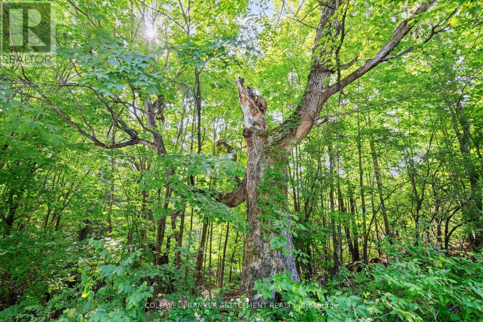 Lot 30 Thompson Drive, Drummond/north Elmsley, Ontario  K7H 3C7 - Photo 12 - X13611508