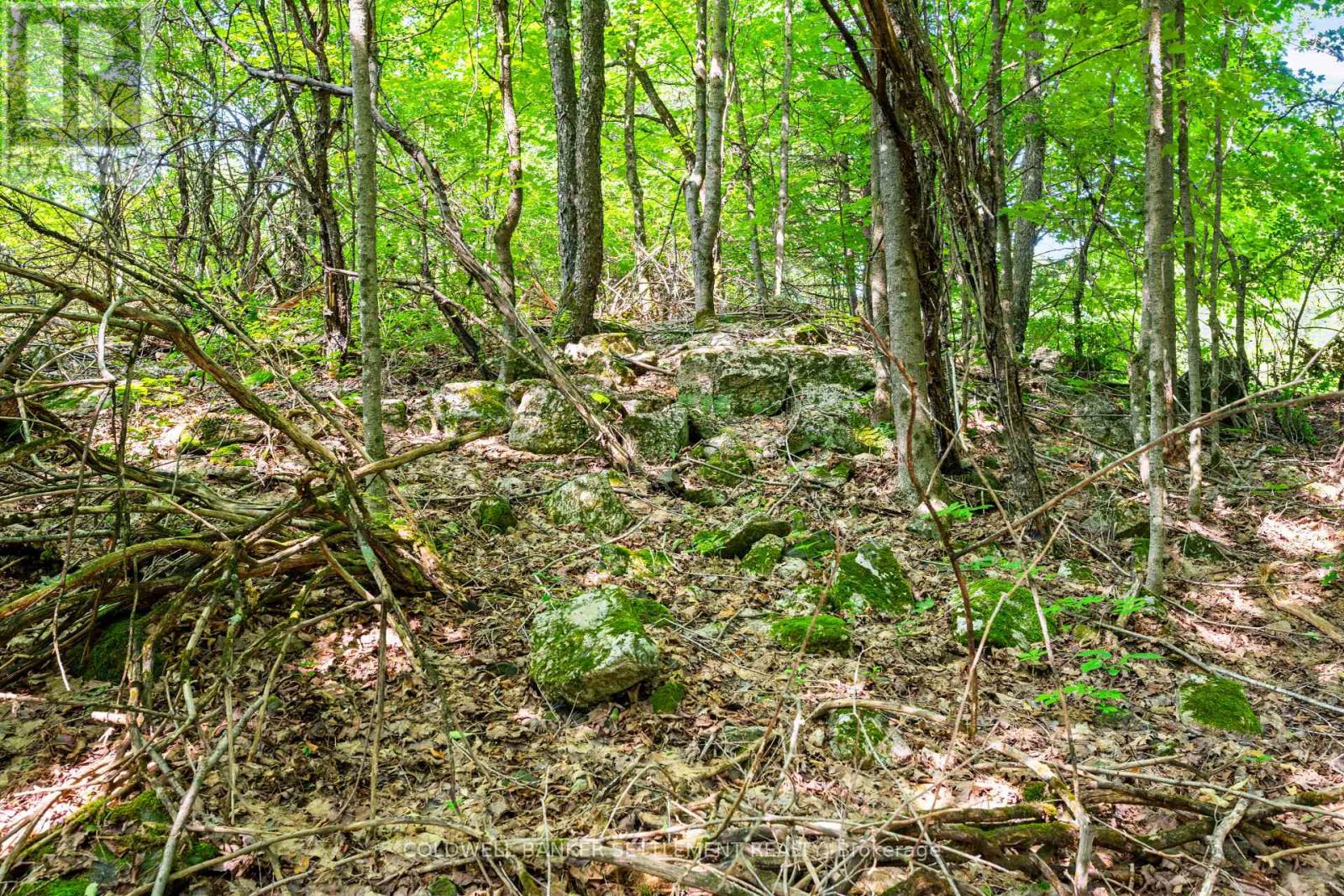 Lot 30 Thompson Drive, Drummond/north Elmsley, Ontario  K7H 3C7 - Photo 16 - X13611508