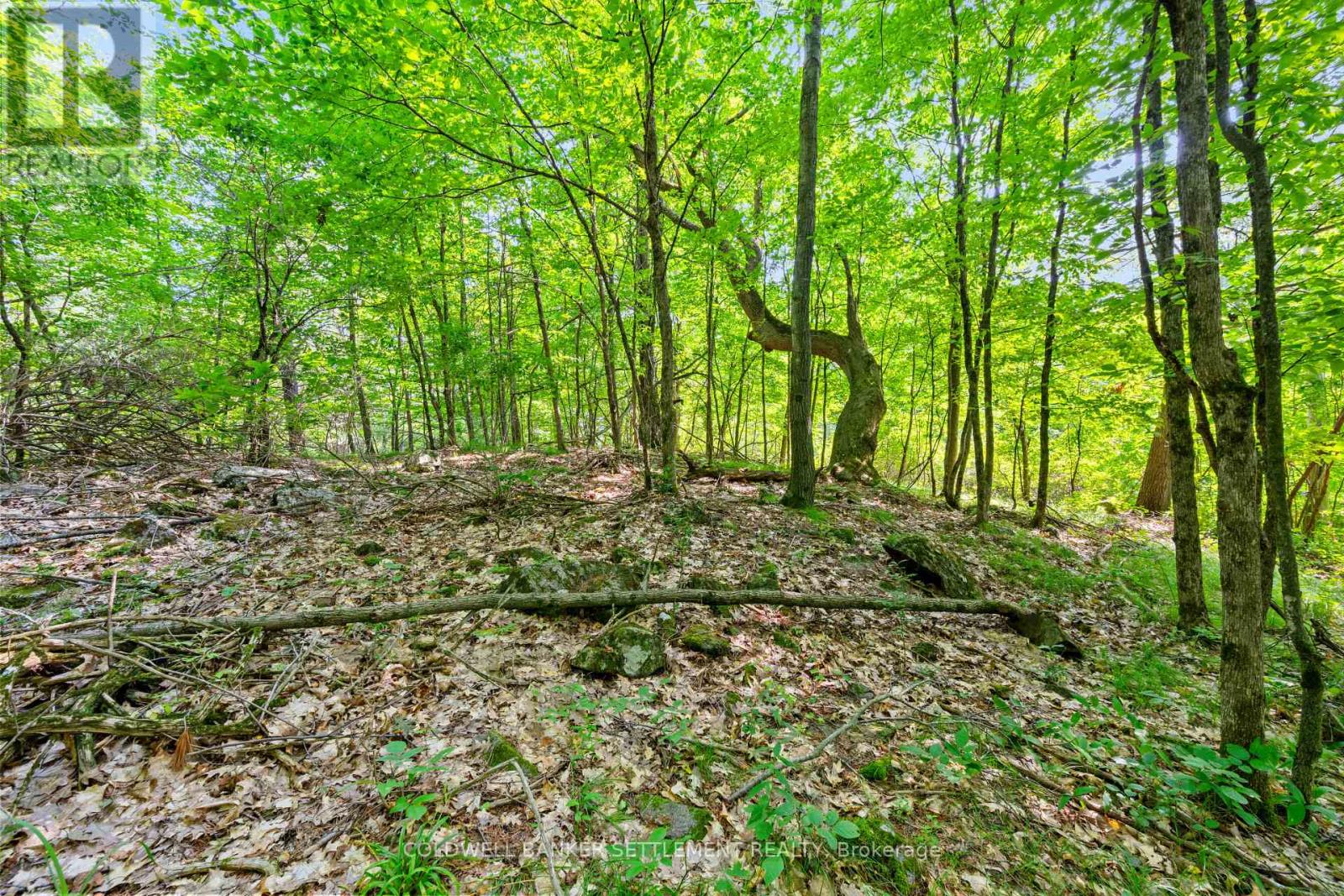 Lot 30 Thompson Drive, Drummond/north Elmsley, Ontario  K7H 3C7 - Photo 20 - X13611508