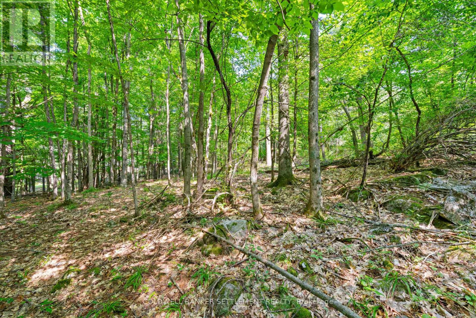 Lot 30 Thompson Drive, Drummond/north Elmsley, Ontario  K7H 3C7 - Photo 21 - X13611508