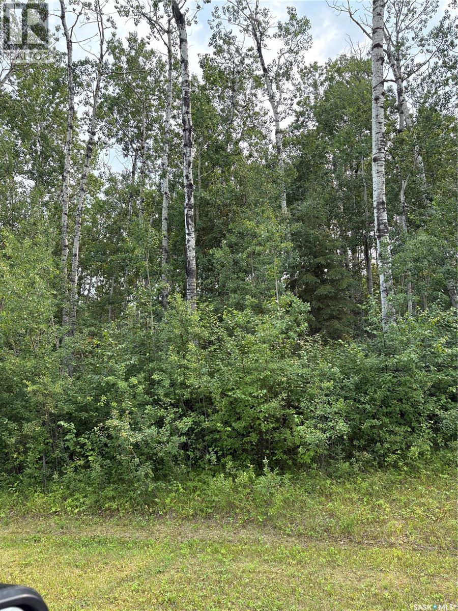 9 Wilson CRESCENT, Delaronde Lake, Saskatchewan