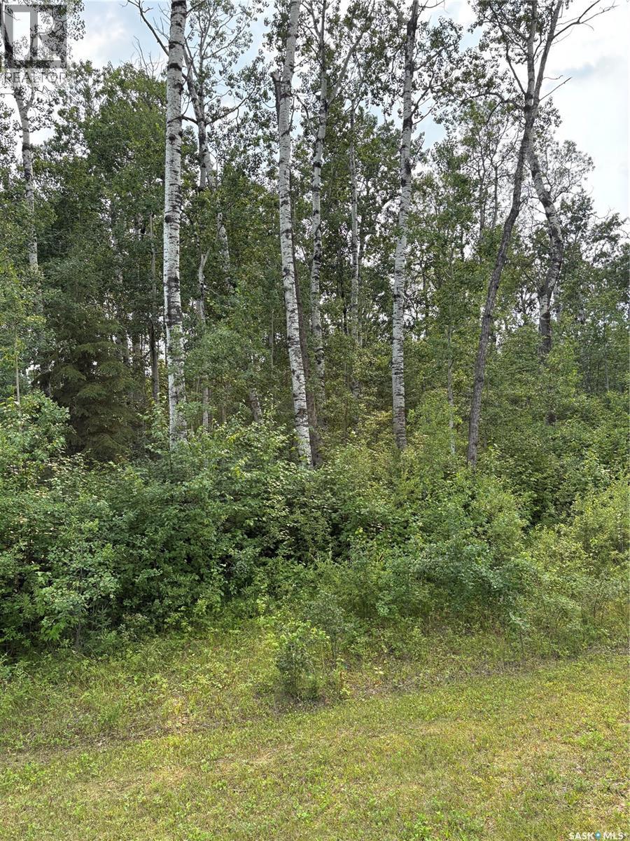 9 Wilson Crescent, Delaronde Lake, Saskatchewan  S0J 0E0 - Photo 2 - SK043694