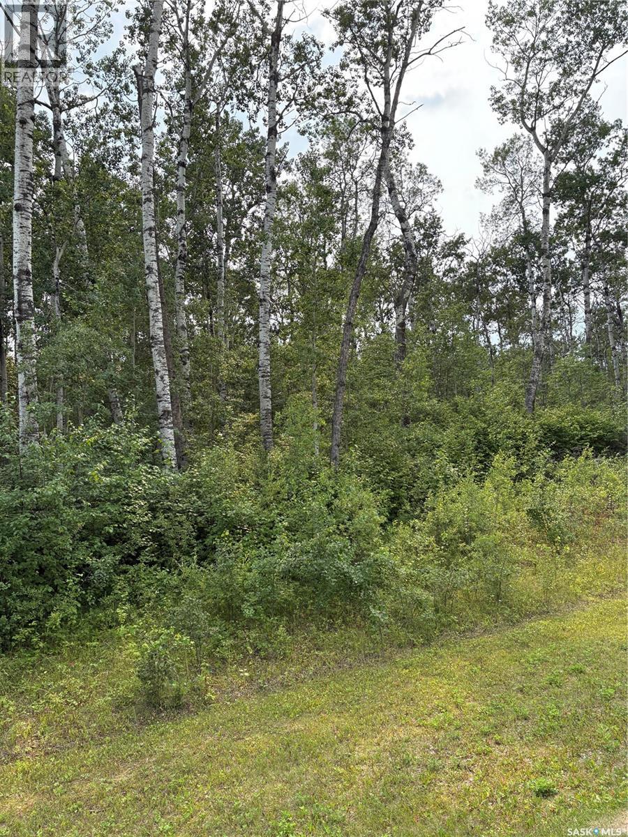9 Wilson Crescent, Delaronde Lake, Saskatchewan  S0J 0E0 - Photo 3 - SK043694