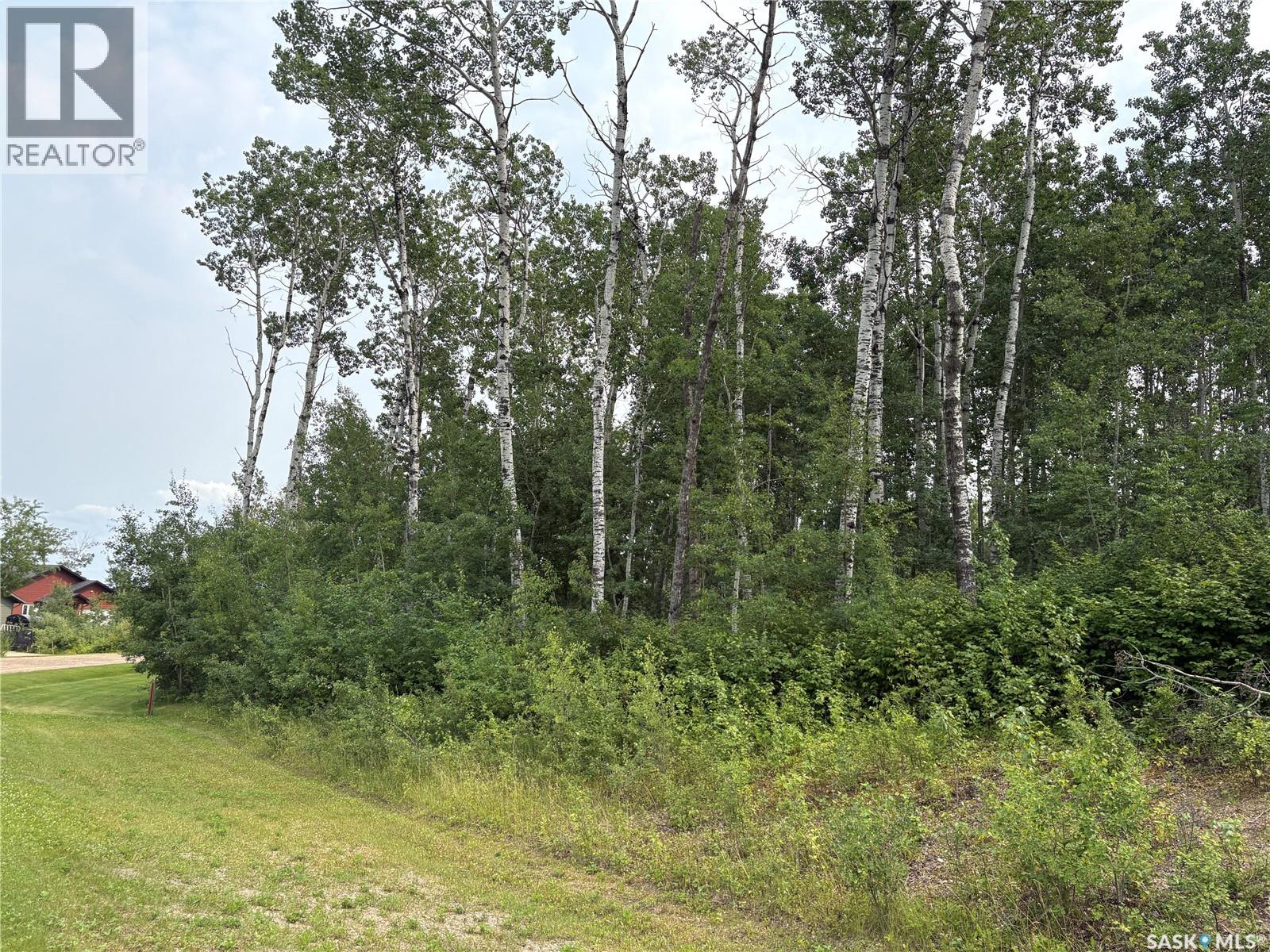 9 Wilson Crescent, Delaronde Lake, Saskatchewan  S0J 0E0 - Photo 6 - SK043694