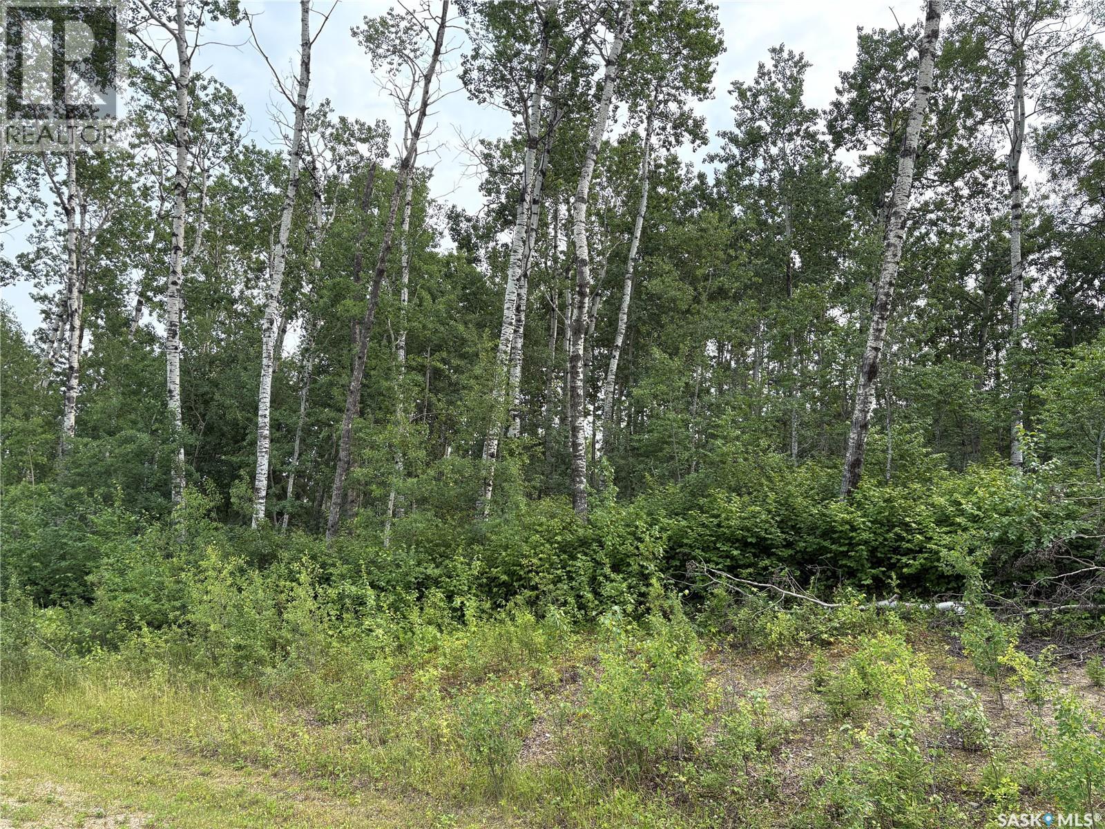 9 Wilson Crescent, Delaronde Lake, Saskatchewan  S0J 0E0 - Photo 7 - SK043694