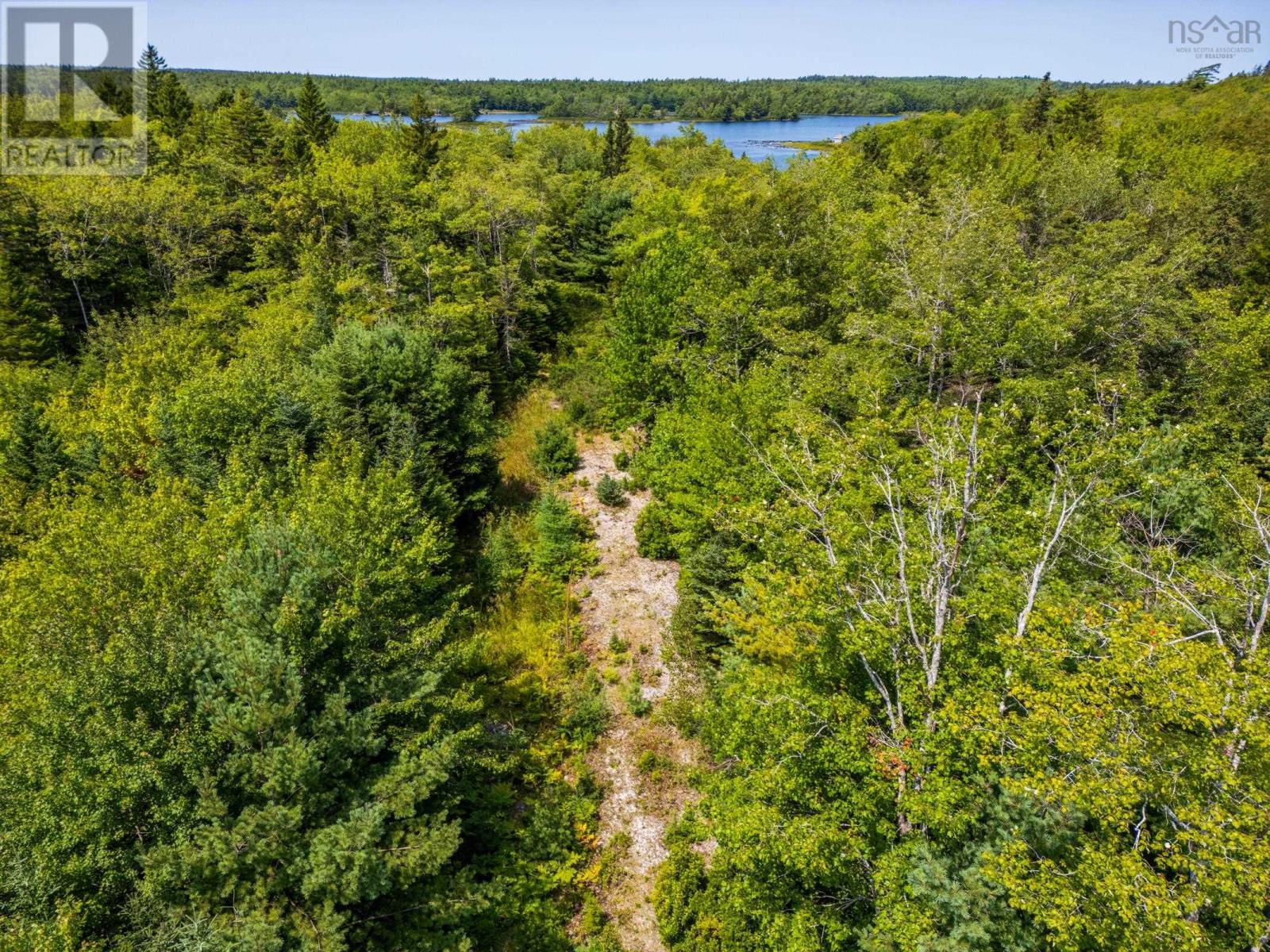 Lot 4 Maple Leaf Drive, East Canaan, Nova Scotia  B0W 3M0 - Photo 15 - 202601863