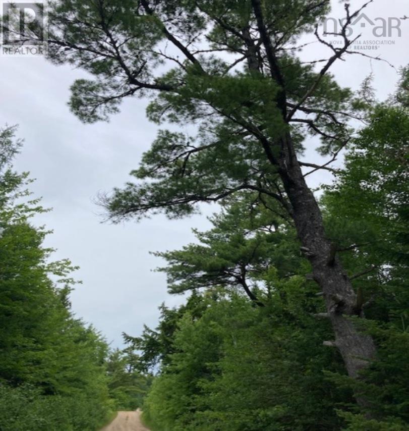 Lot 20c Ashfield Road, River Denys, Nova Scotia  B0E 2Y0 - Photo 11 - 202611516