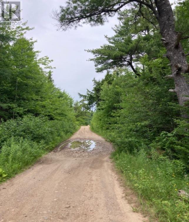 Lot 20c Ashfield Road, River Denys, Nova Scotia  B0E 2Y0 - Photo 10 - 202611516