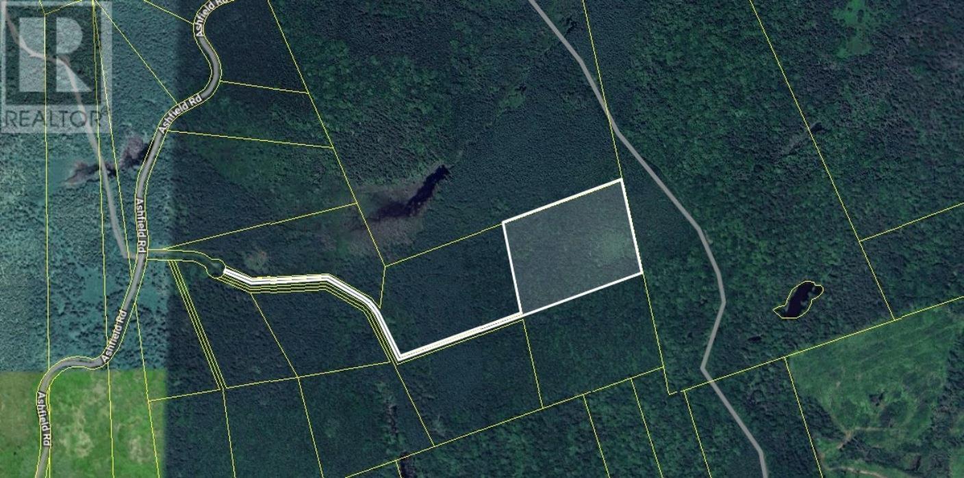 Lot 20c Ashfield Road, River Denys, Nova Scotia  B0E 2Y0 - Photo 2 - 202611516