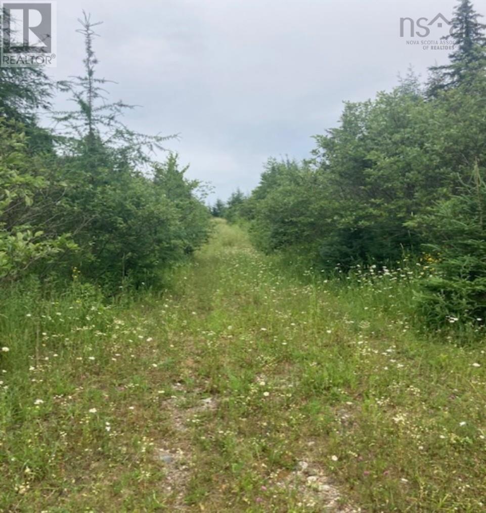 Lot 20c Ashfield Road, River Denys, Nova Scotia  B0E 2Y0 - Photo 7 - 202611516