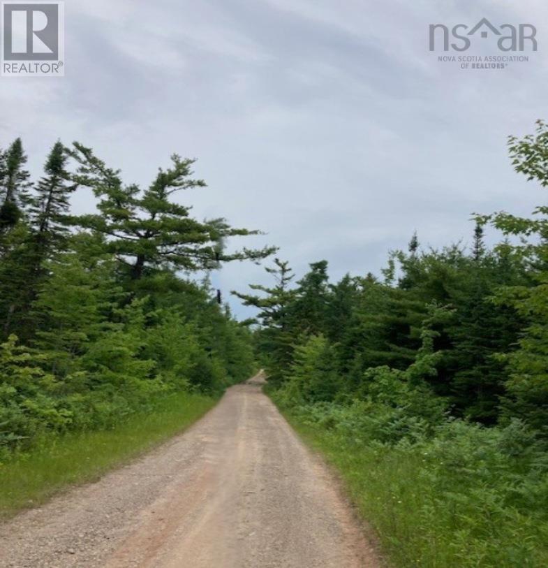 Lot 20c Ashfield Road, River Denys, Nova Scotia  B0E 2Y0 - Photo 9 - 202611516