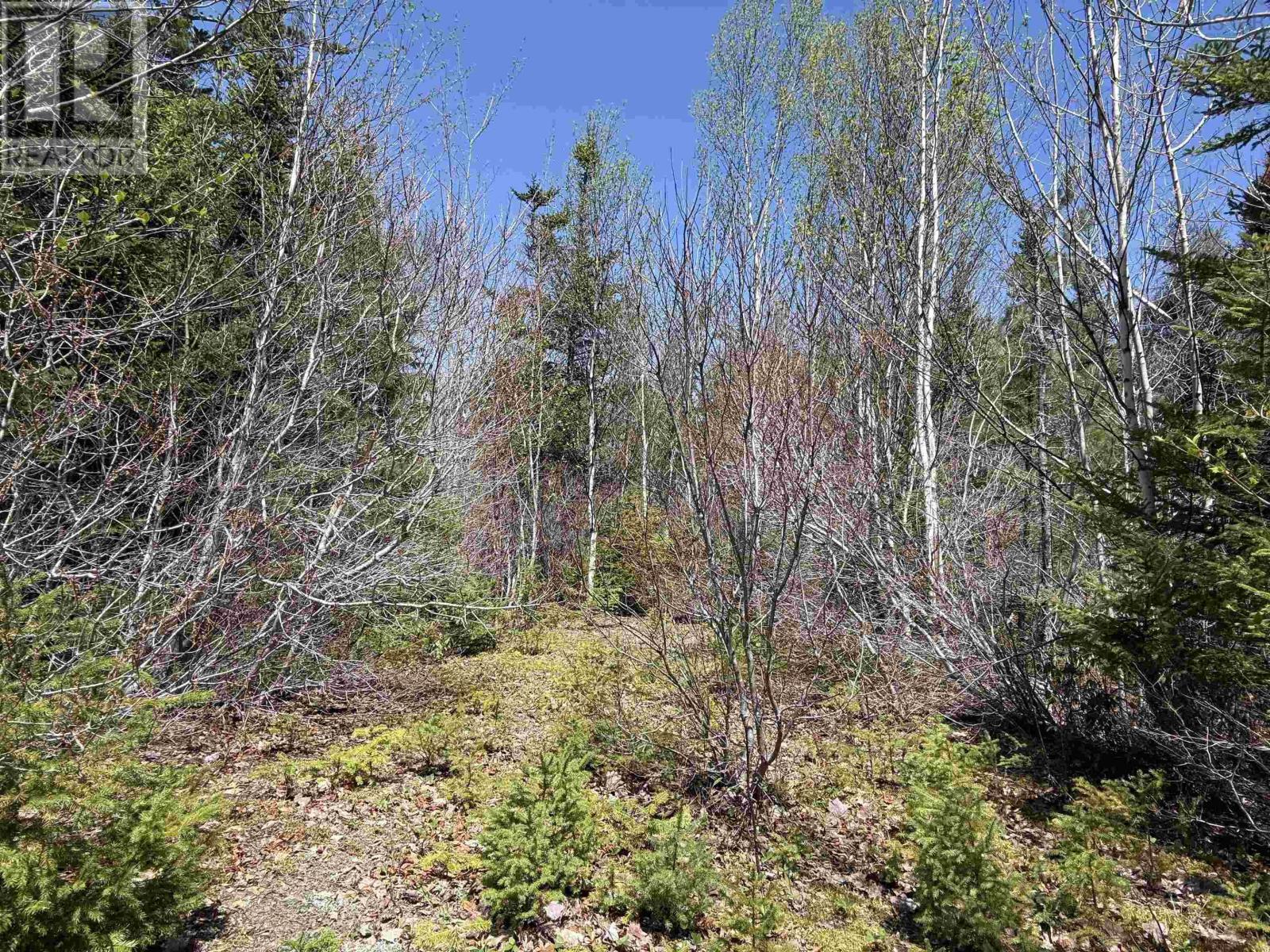 Lot 22 Marble Mountain Road, South Side River Denys, Nova Scotia  B0E 2Y0 - Photo 13 - 202611650