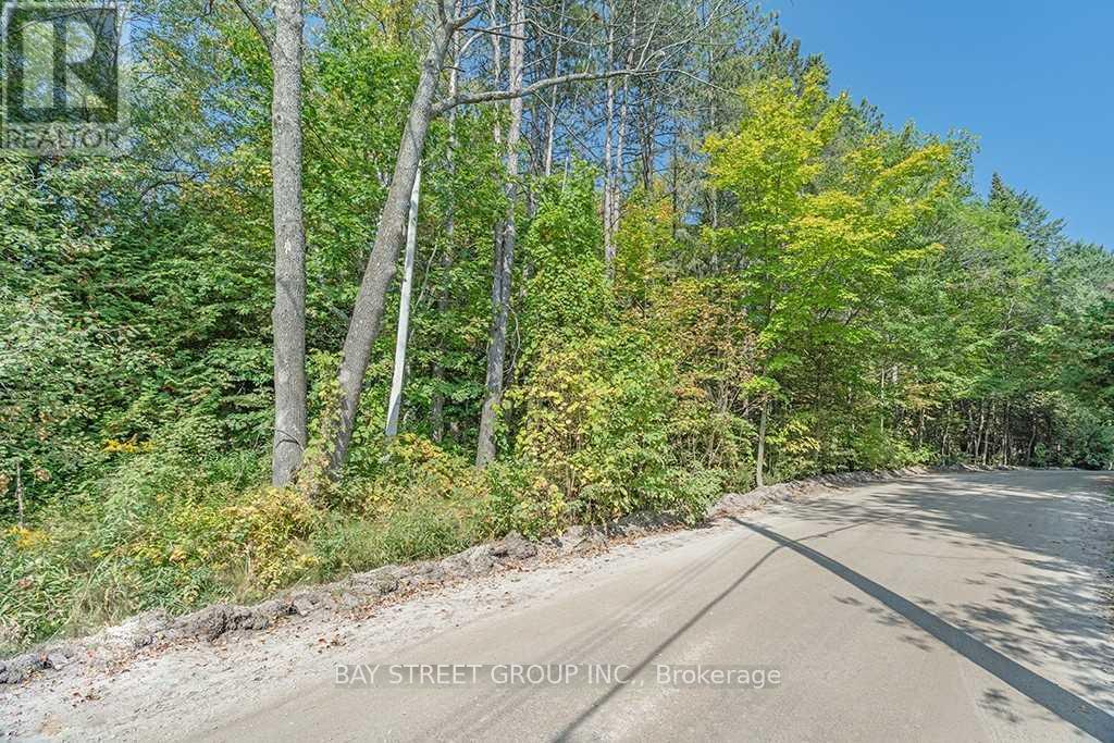3358 Crescent Harbour Road, Innisfil, Ontario  L9S 2Y8 - Photo 6 - N13611858