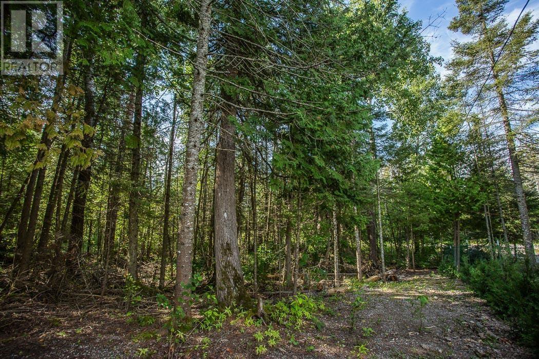3722 Hamilton Ct, Hilton Township, St. Joseph Island, Ontario  P0R 1G0 - Photo 17 - SM252423
