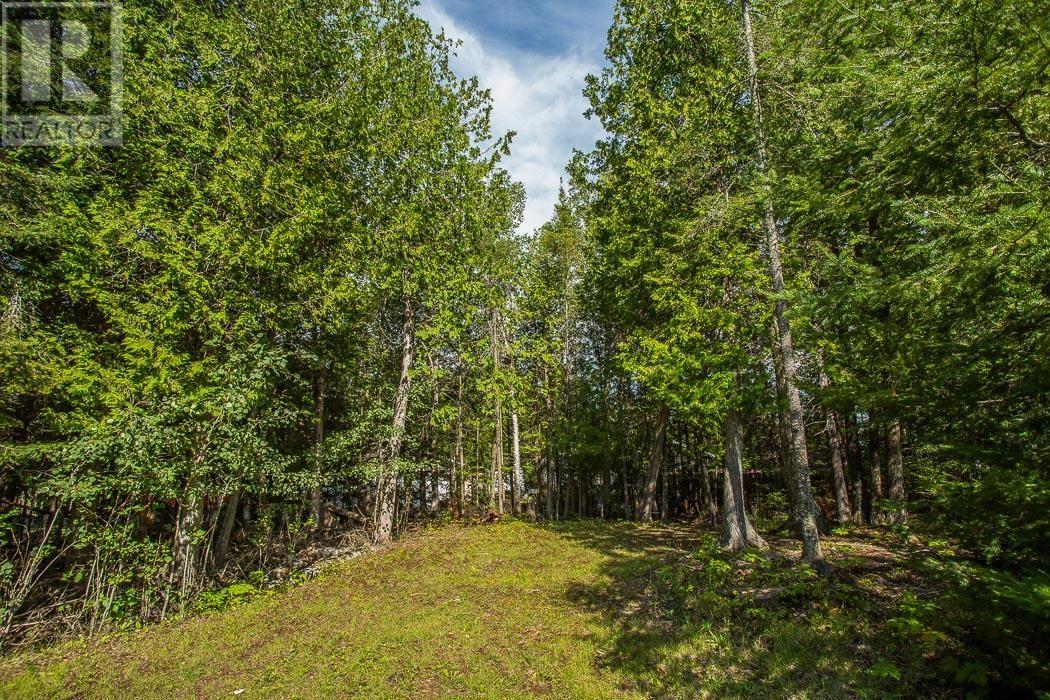 3722 Hamilton Ct, Hilton Township, St. Joseph Island, Ontario  P0R 1G0 - Photo 8 - SM252423