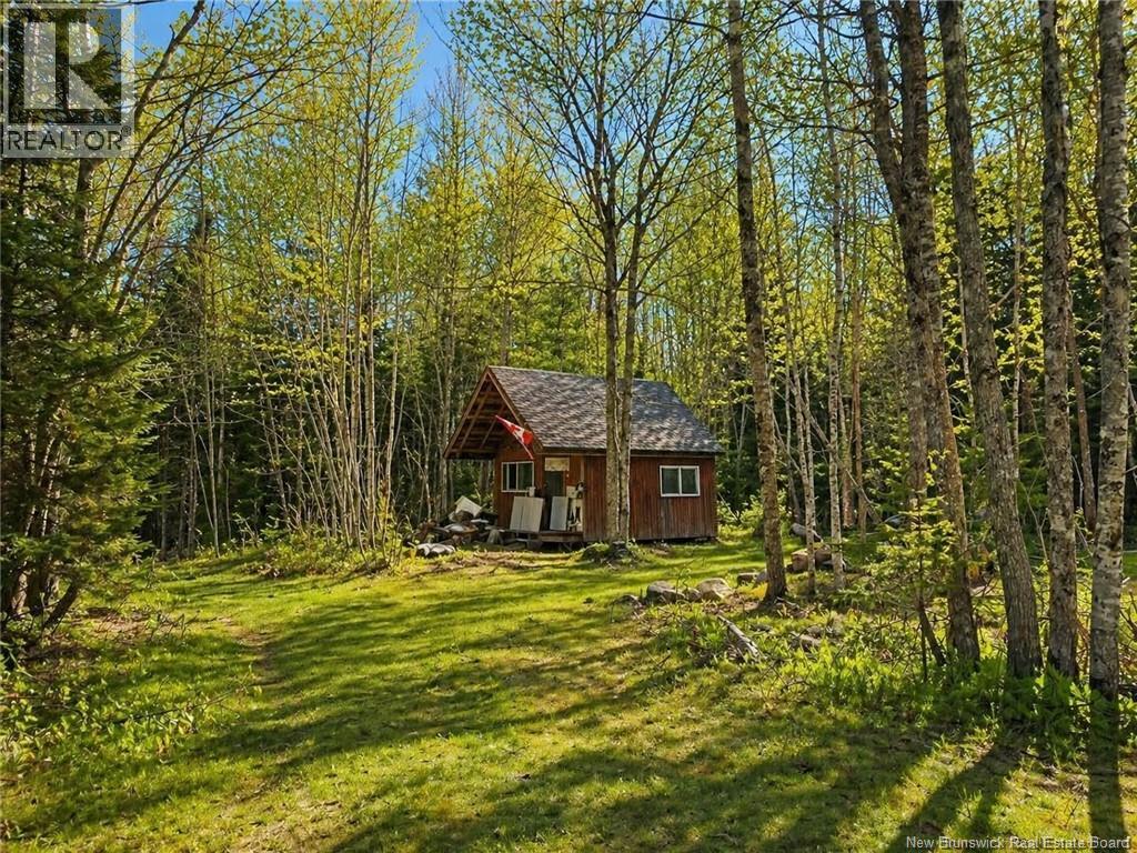Lot 2 And Camp Old Portage Road, Anagance, New Brunswick  E4Z 1H5 - Photo 3 - NB131707