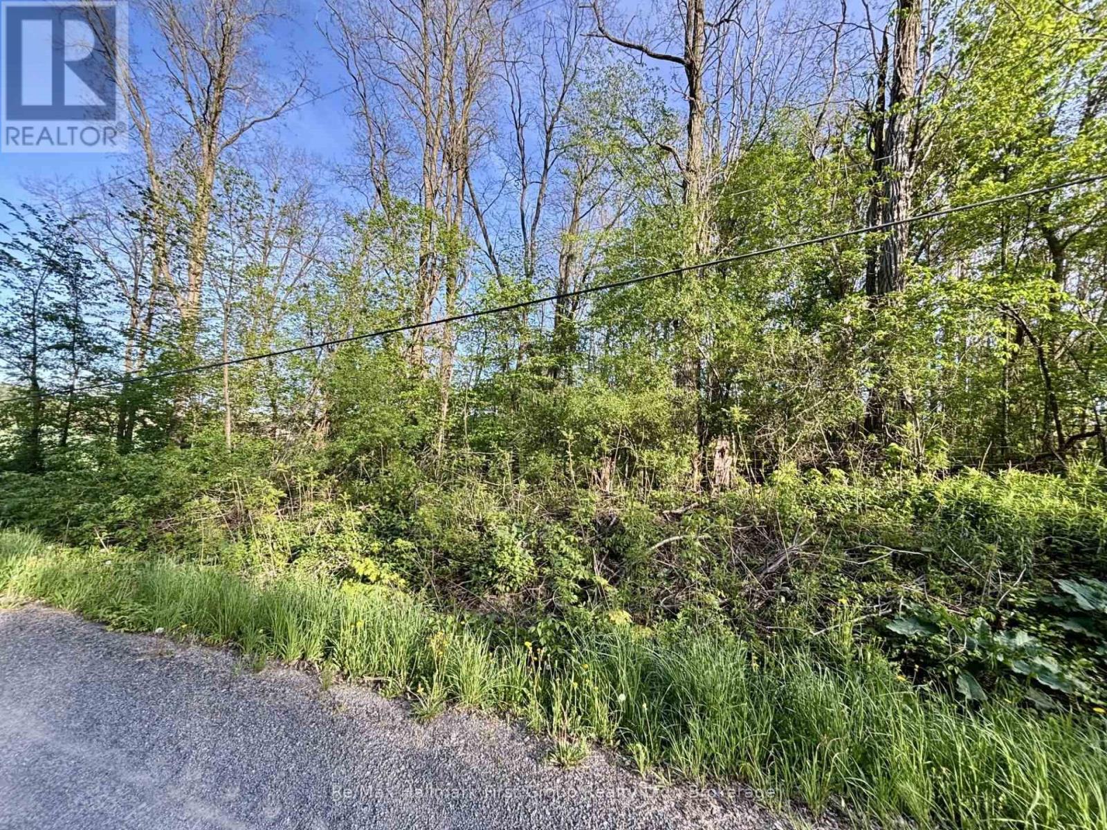 207 Goodfellow Road, Brighton, Ontario  K0K 1R0 - Photo 2 - X12850612