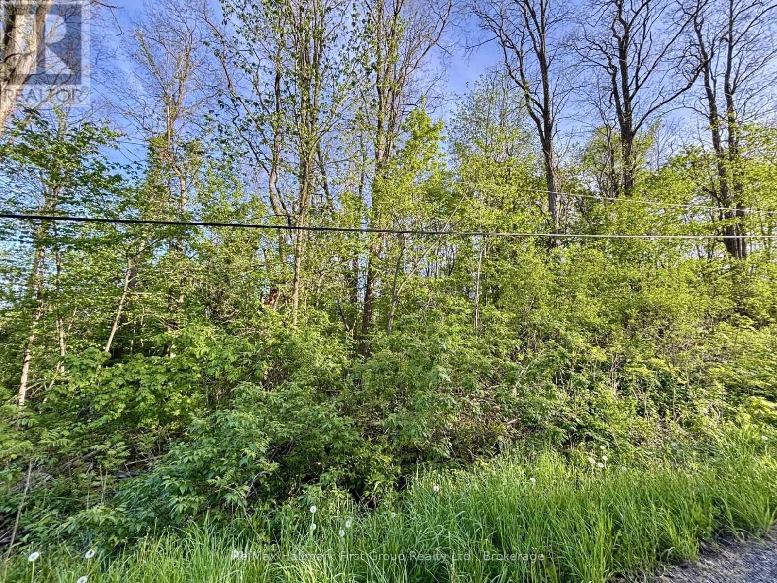 207 Goodfellow Road, Brighton, Ontario  K0K 1R0 - Photo 5 - X12850612