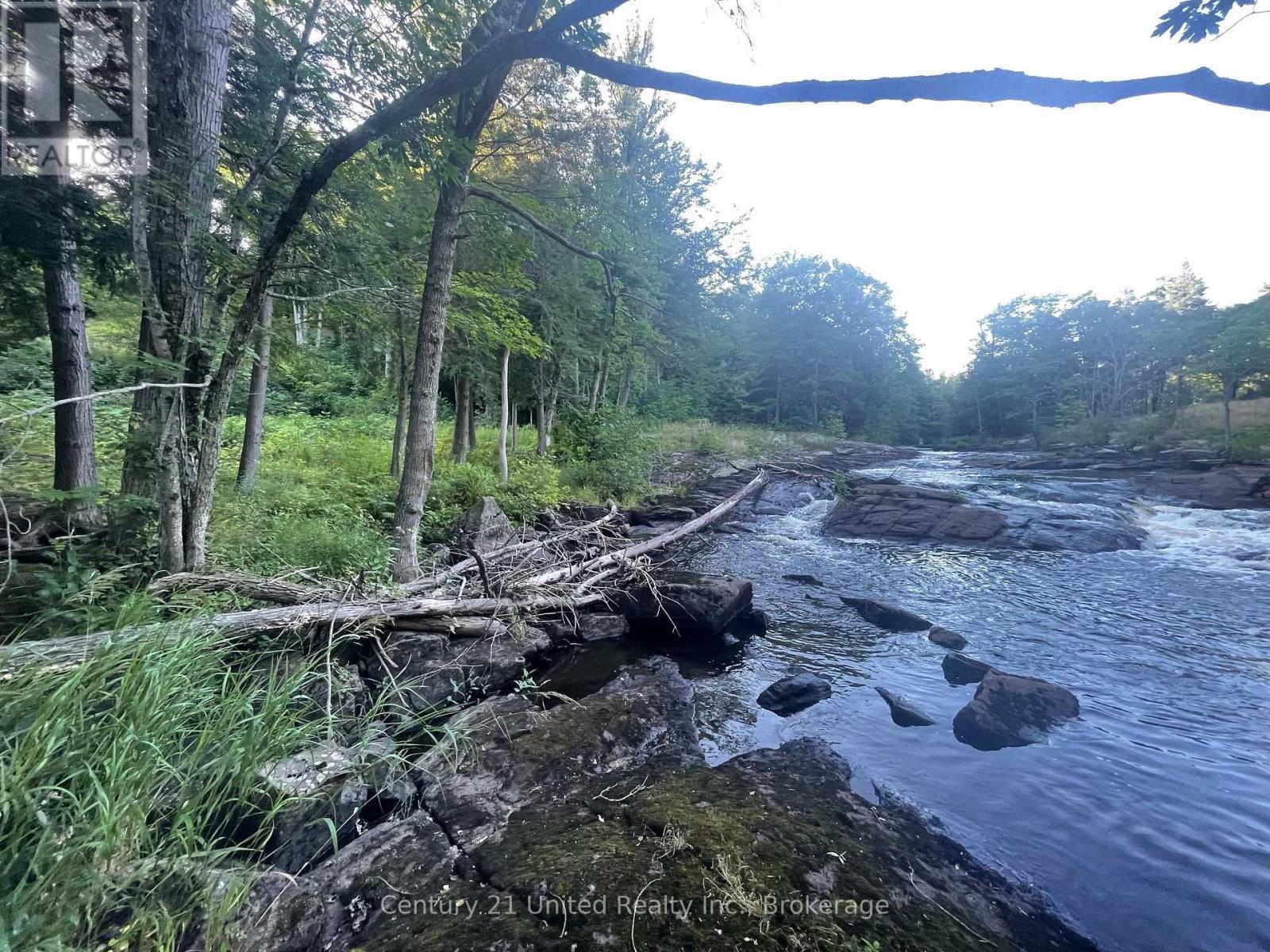 Lot 86 Kennedy Drive, Trent Lakes, Ontario  K0M 1A0 - Photo 6 - X13612350