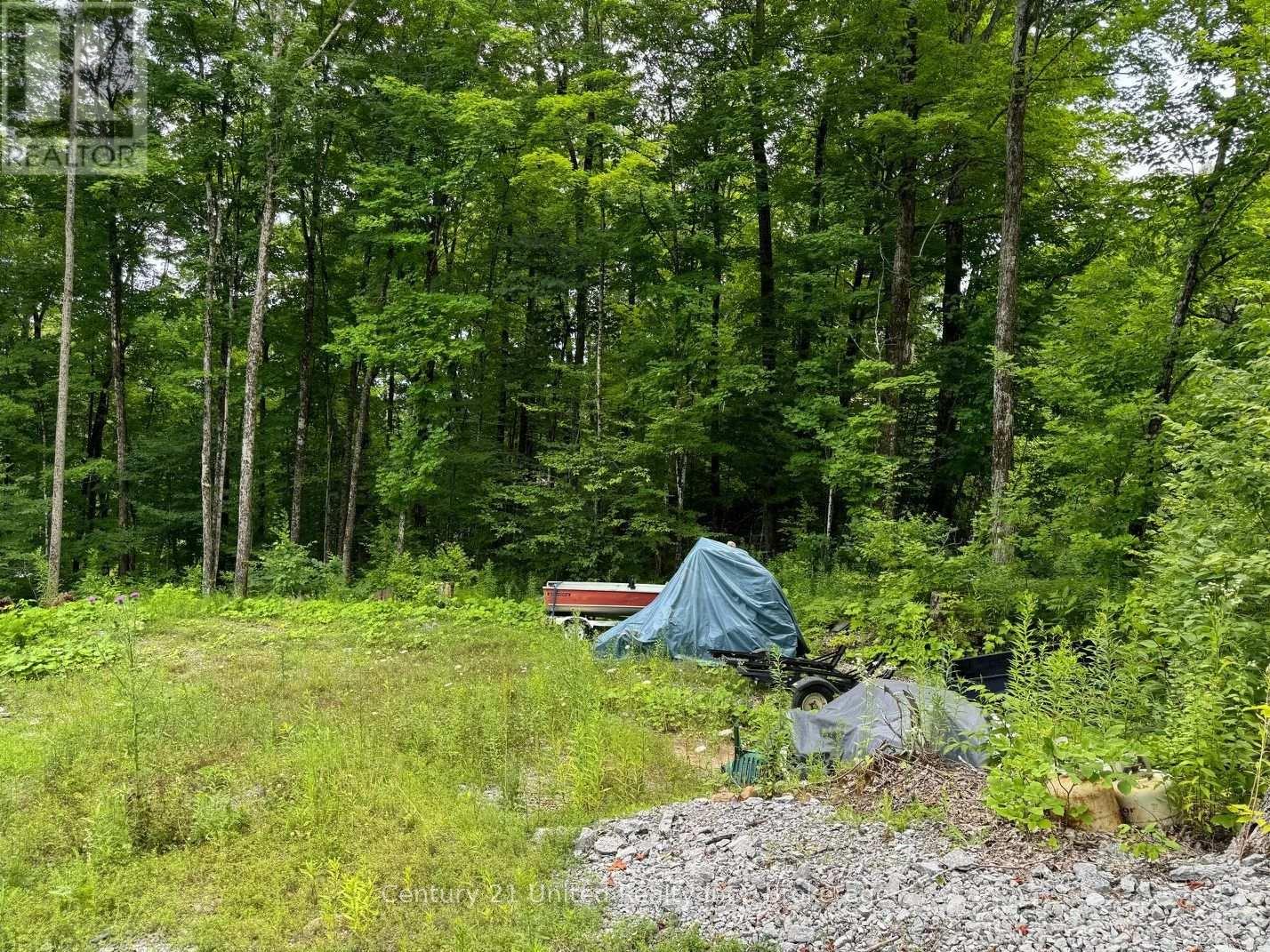 Lot 86 Kennedy Drive, Trent Lakes, Ontario  K0M 1A0 - Photo 7 - X13612350