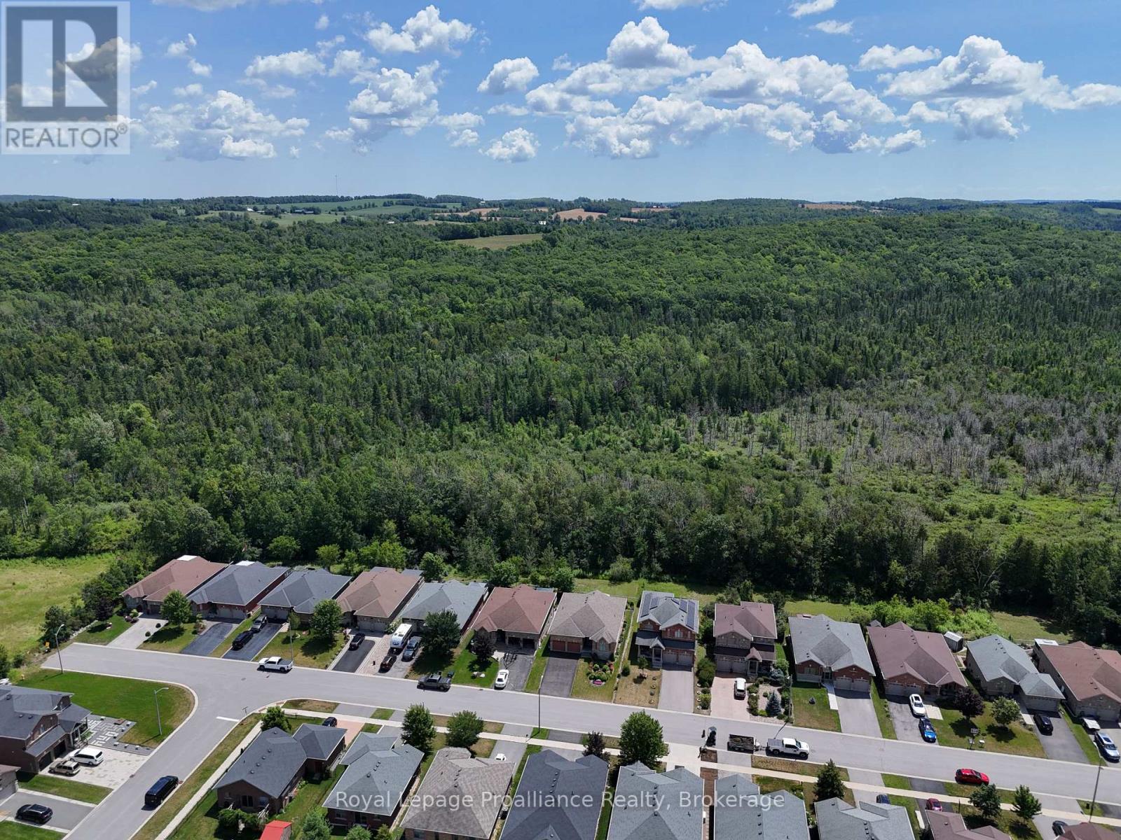 46 White Hart Lane, Trent Hills, Ontario  K0L 1Y0 - Photo 4 - X13612472