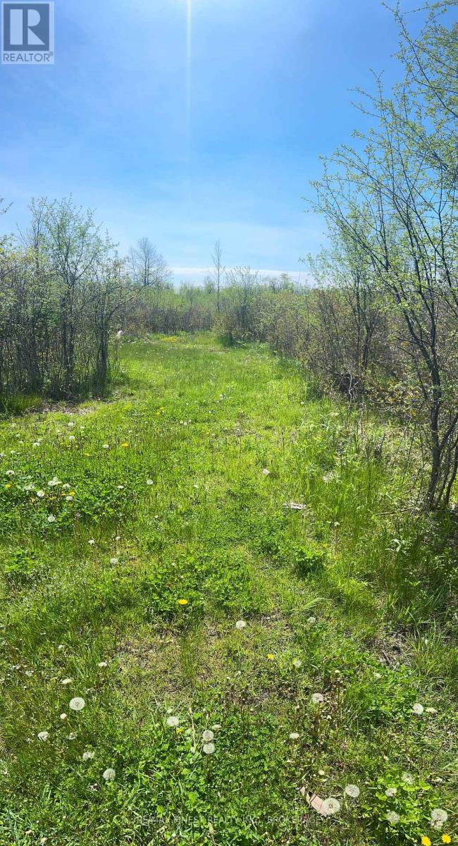 Lot 75-81 Plan 65 Cross Street, Frontenac, Ontario K0H 2Y0 - Photo 4 - X13612400