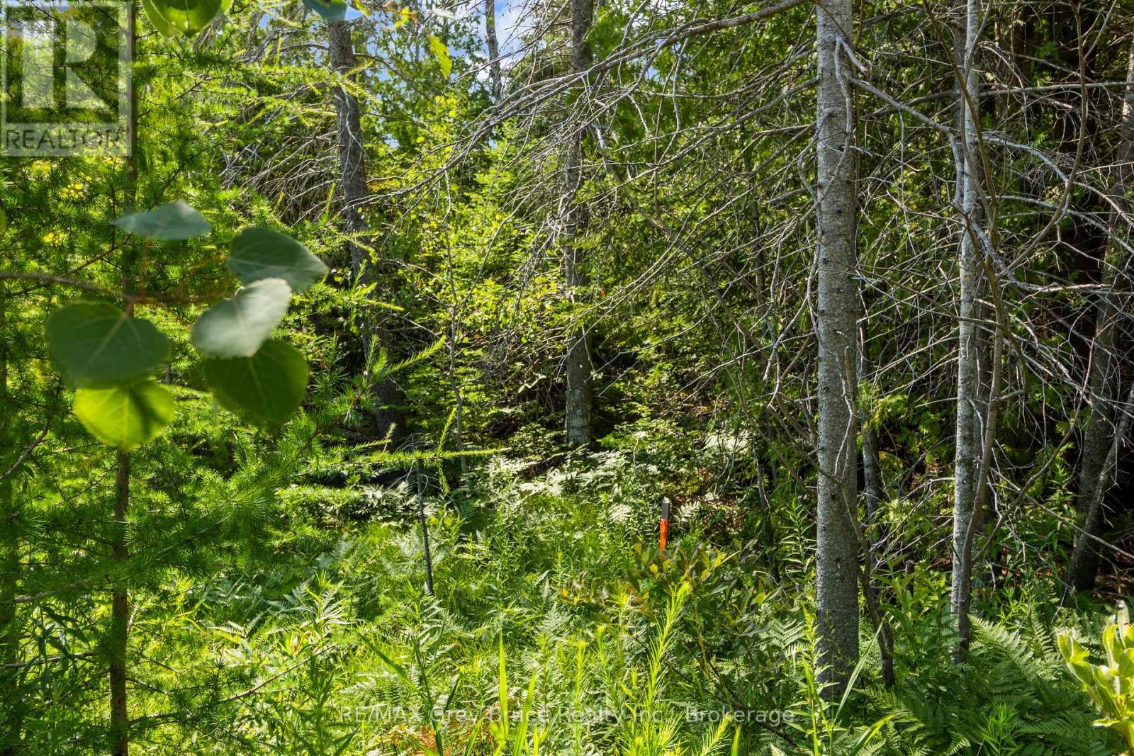 Pt Fm Lt 4 Chi Sin Tib Dek Road, Northern Bruce Peninsula, Ontario  N0H 2R0 - Photo 10 - X13612280