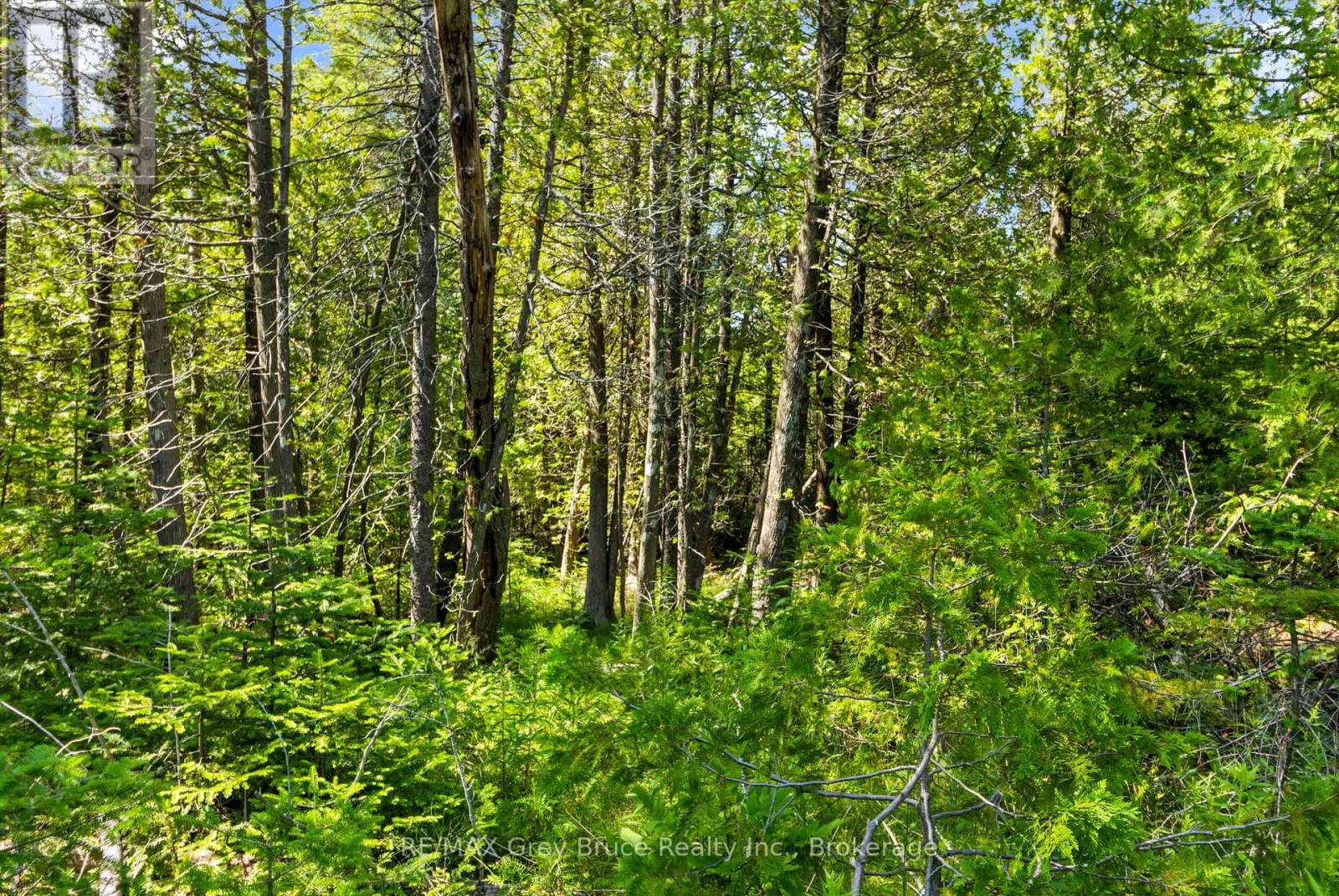 Pt Fm Lt 4 Chi Sin Tib Dek Road, Northern Bruce Peninsula, Ontario  N0H 2R0 - Photo 11 - X13612280
