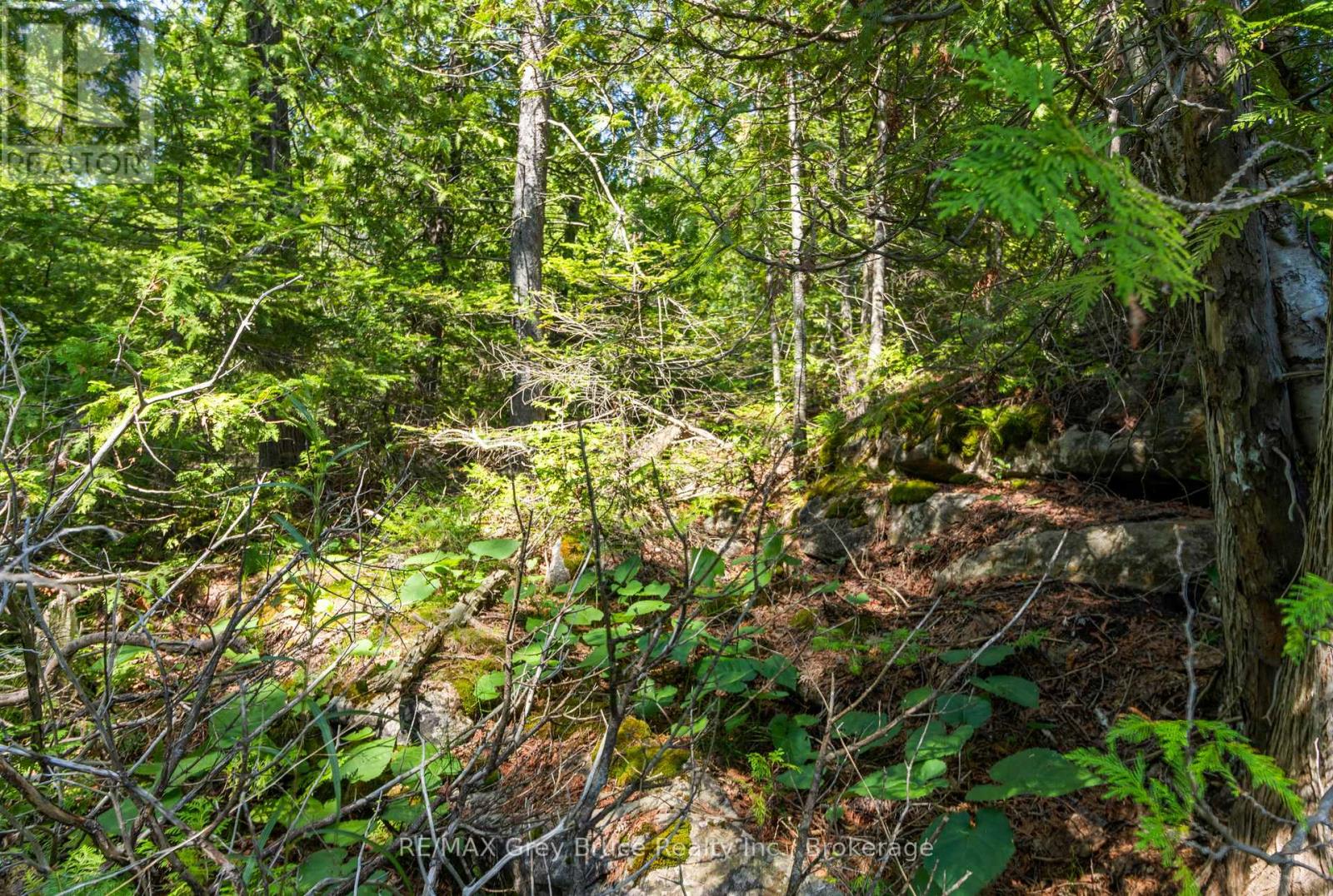 Pt Fm Lt 4 Chi Sin Tib Dek Road, Northern Bruce Peninsula, Ontario  N0H 2R0 - Photo 12 - X13612280
