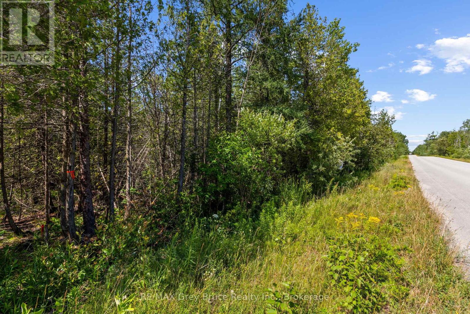 Pt Fm Lt 4 Chi Sin Tib Dek Road, Northern Bruce Peninsula, Ontario  N0H 2R0 - Photo 5 - X13612280