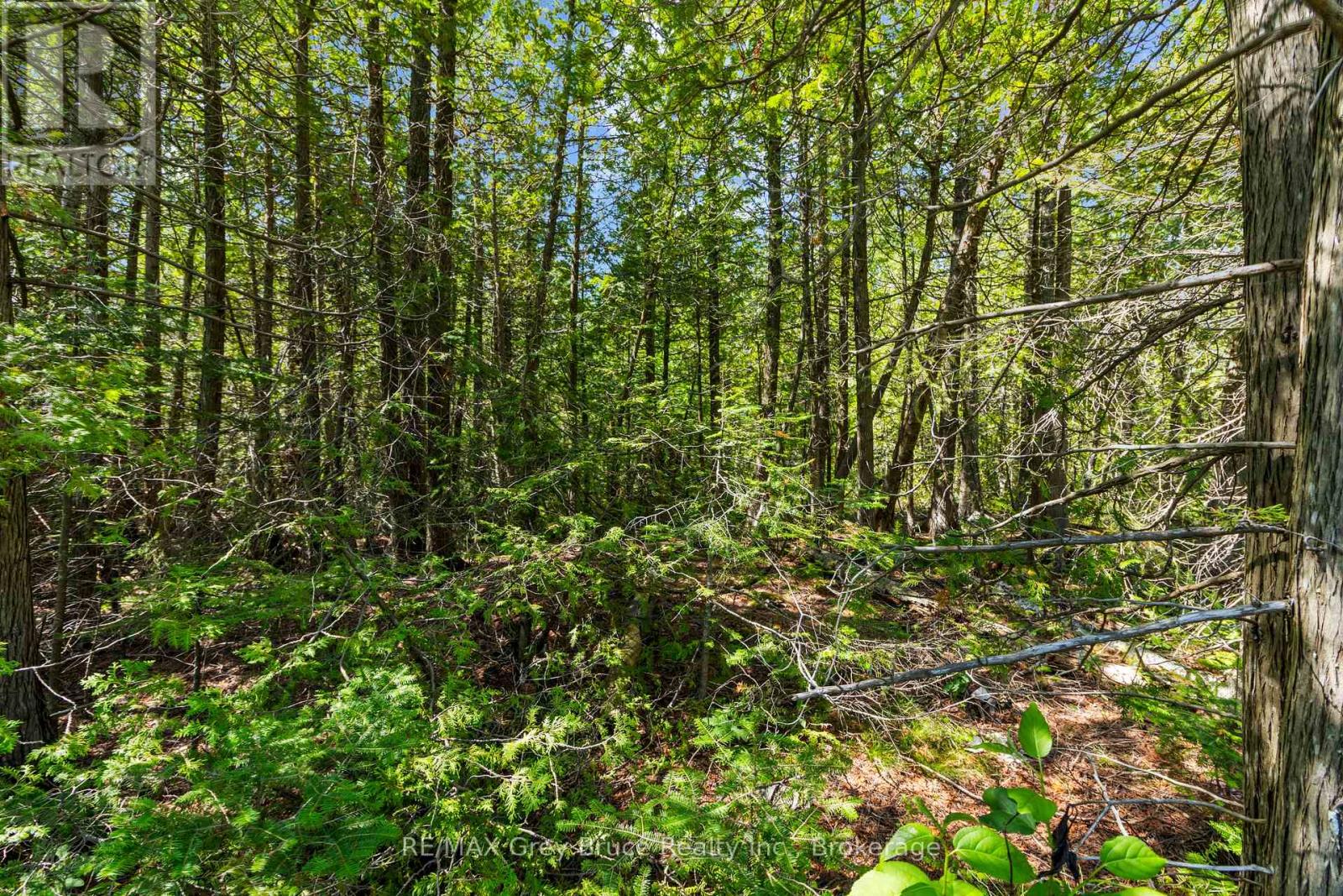 Pt Fm Lt 4 Chi Sin Tib Dek Road, Northern Bruce Peninsula, Ontario  N0H 2R0 - Photo 6 - X13612280