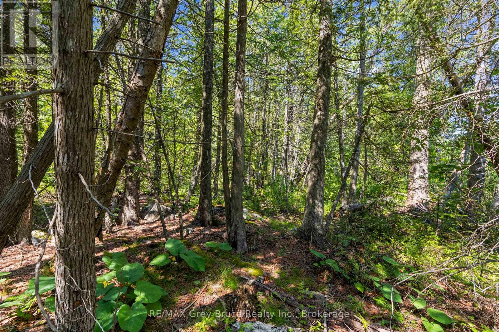 Pt Fm Lt 4 Chi Sin Tib Dek Road, Northern Bruce Peninsula, Ontario  N0H 2R0 - Photo 7 - X13612280