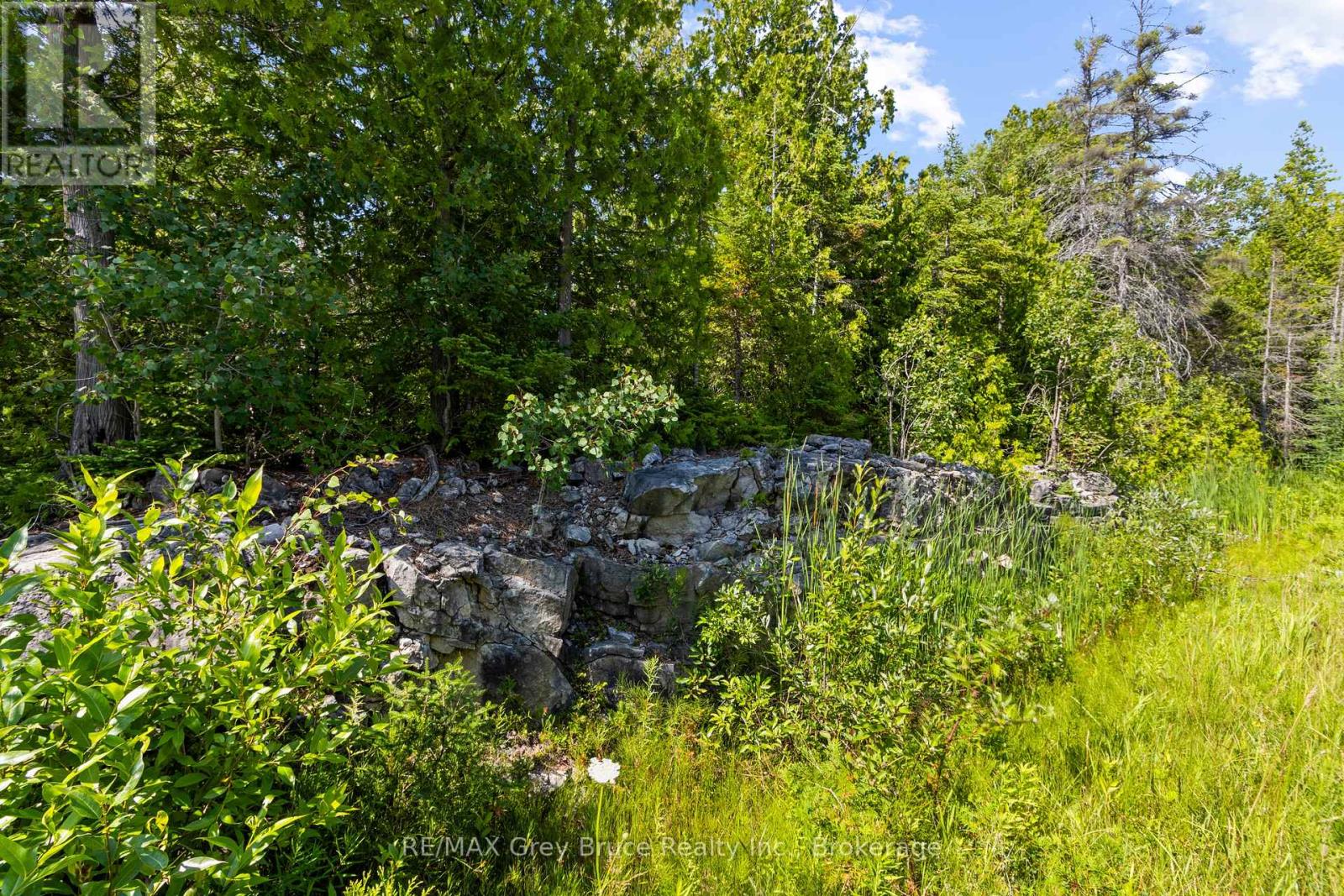 Pt Fm Lt 4 Chi Sin Tib Dek Road, Northern Bruce Peninsula, Ontario  N0H 2R0 - Photo 8 - X13612280