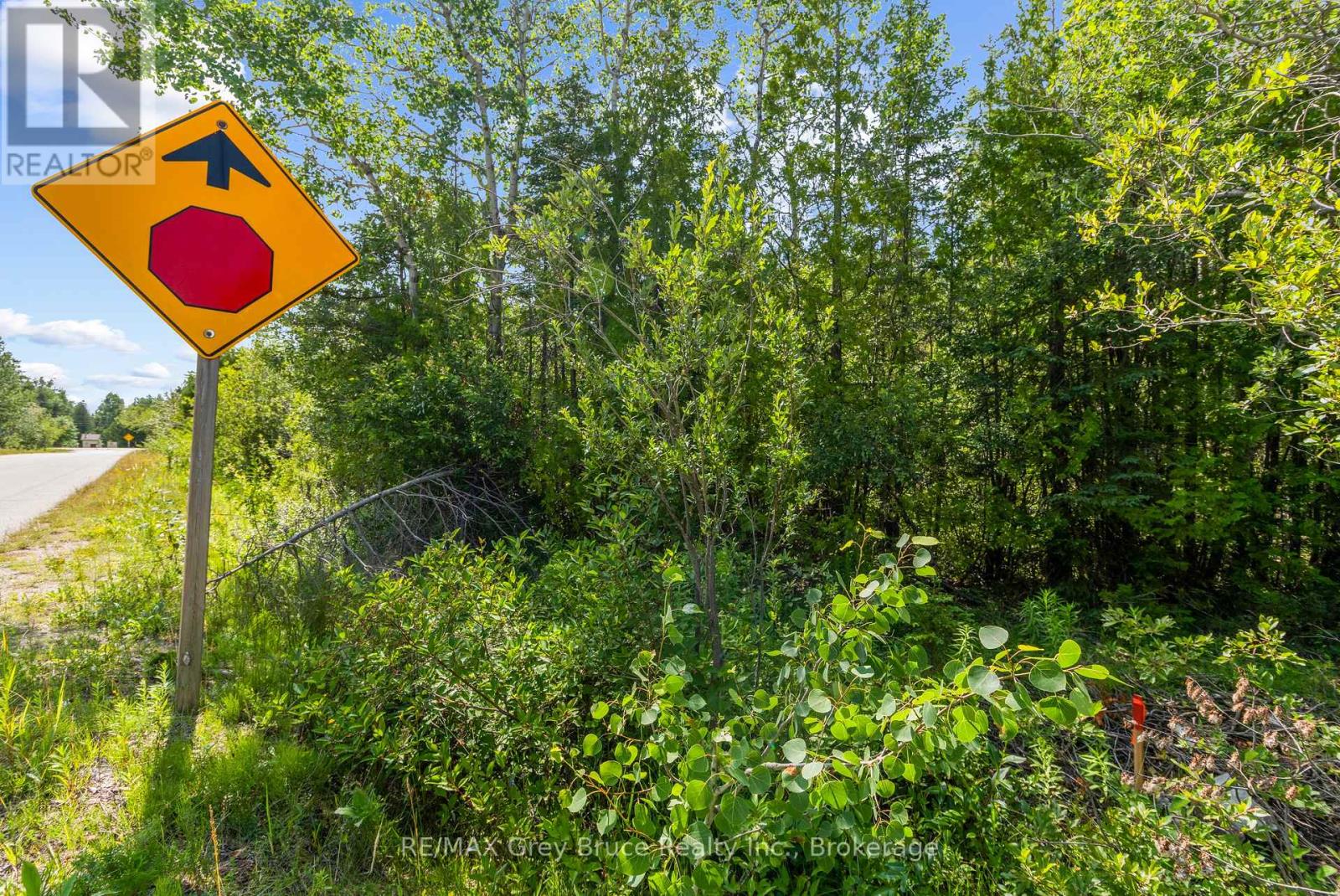 Part Farm Lot 4 Chi Sin Tib Dek Road, Northern Bruce Peninsula, Ontario  N0H 2R0 - Photo 6 - X13612284