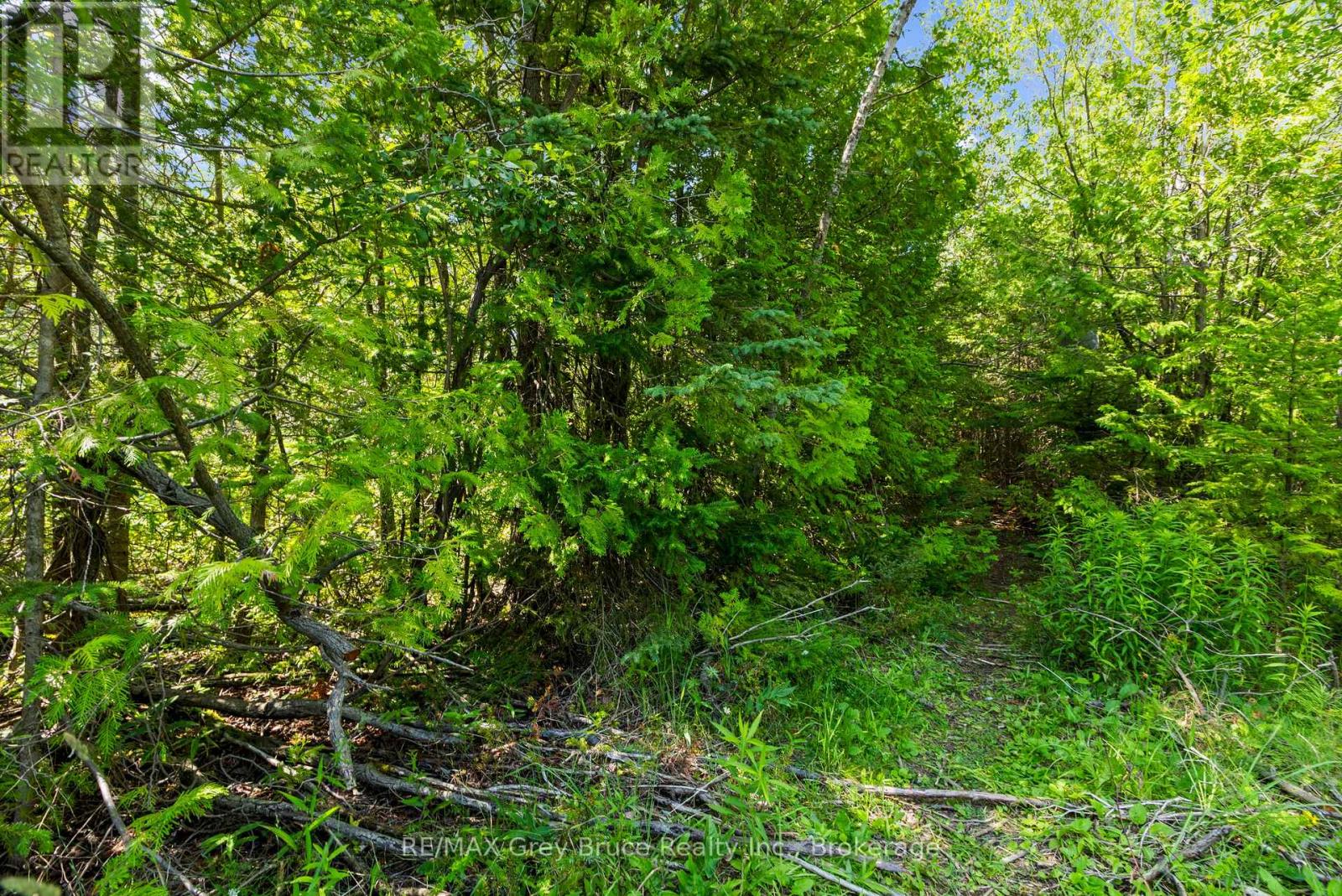 Part Farm Lot 4 Chi Sin Tib Dek Road, Northern Bruce Peninsula, Ontario  N0H 2R0 - Photo 7 - X13612284