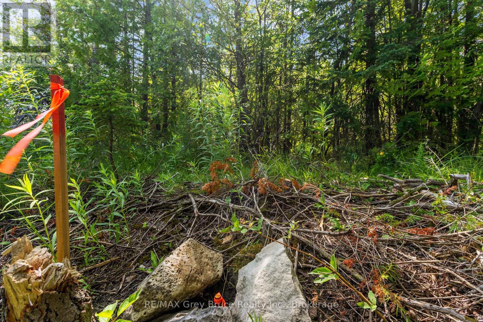 Part Farm Lot 4 Chi Sin Tib Dek Road, Northern Bruce Peninsula, Ontario  N0H 2R0 - Photo 8 - X13612284