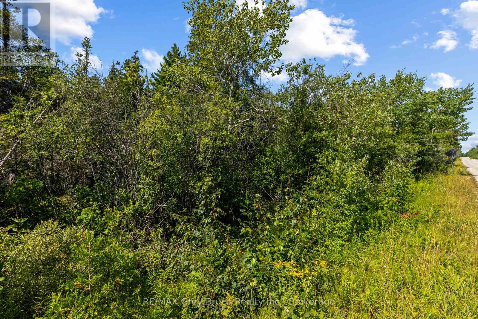 Part Farm Lot 4 Chi Sin Tib Dek Road, Northern Bruce Peninsula, Ontario  N0H 2R0 - Photo 9 - X13612284
