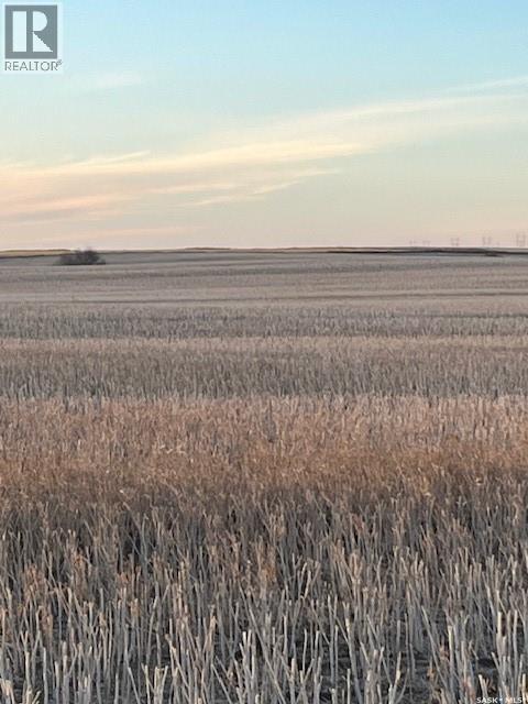 Fortnum Land Tender, Colonsay Rm No. 342, Saskatchewan  S0K 0Z0 - Photo 6 - SK043823
